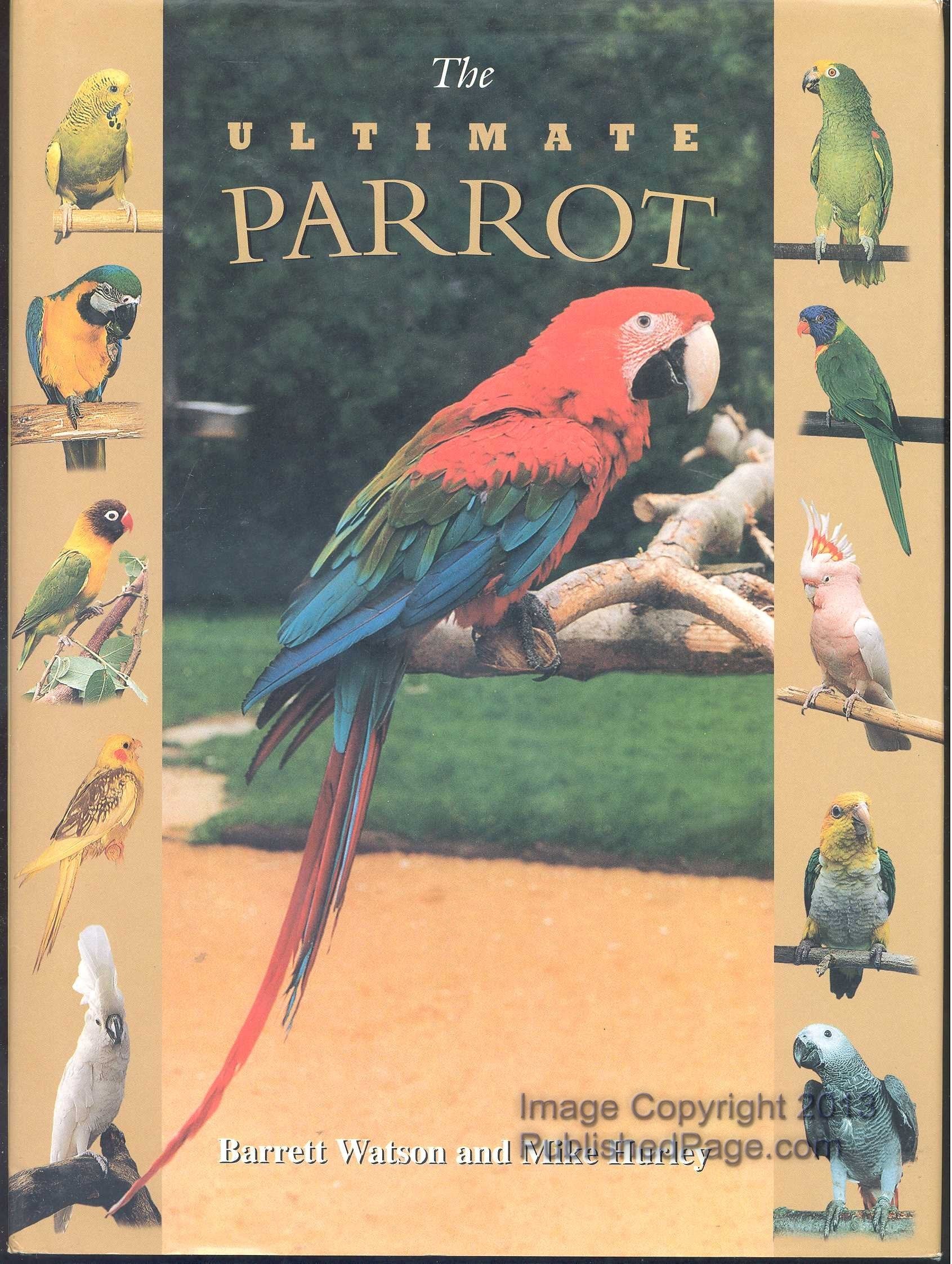 The Ultimate Parrot,New