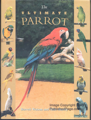 The Ultimate Parrot,New