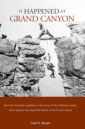 It Happened at Grand Canyon (It Happened In Series),Used