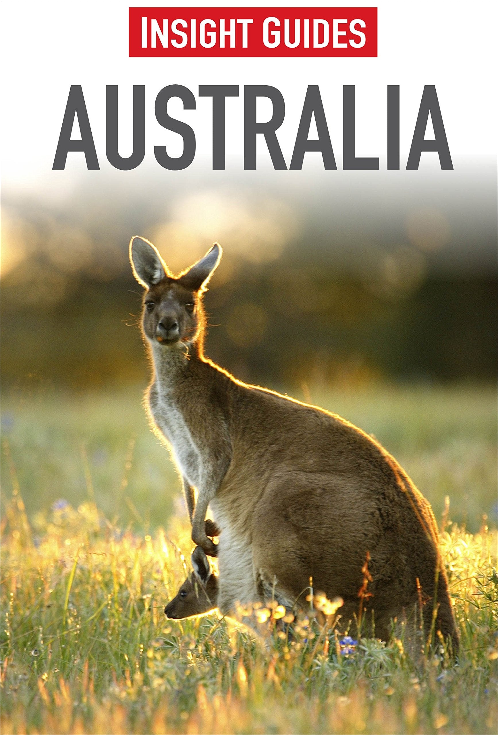 Australia (Insight Guides),Used