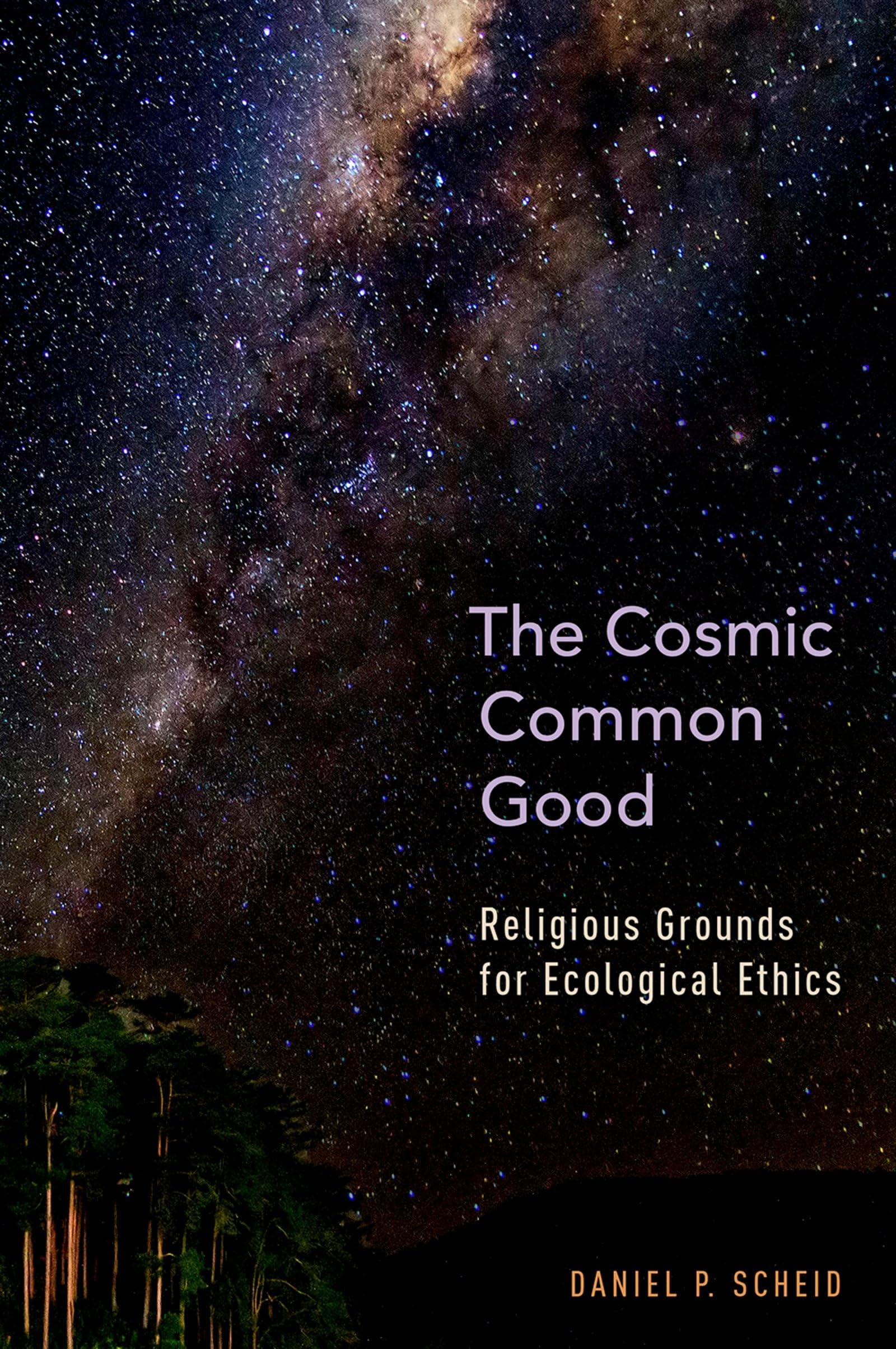 The Cosmic Common Good: Religious Grounds for Ecological Ethics,Used