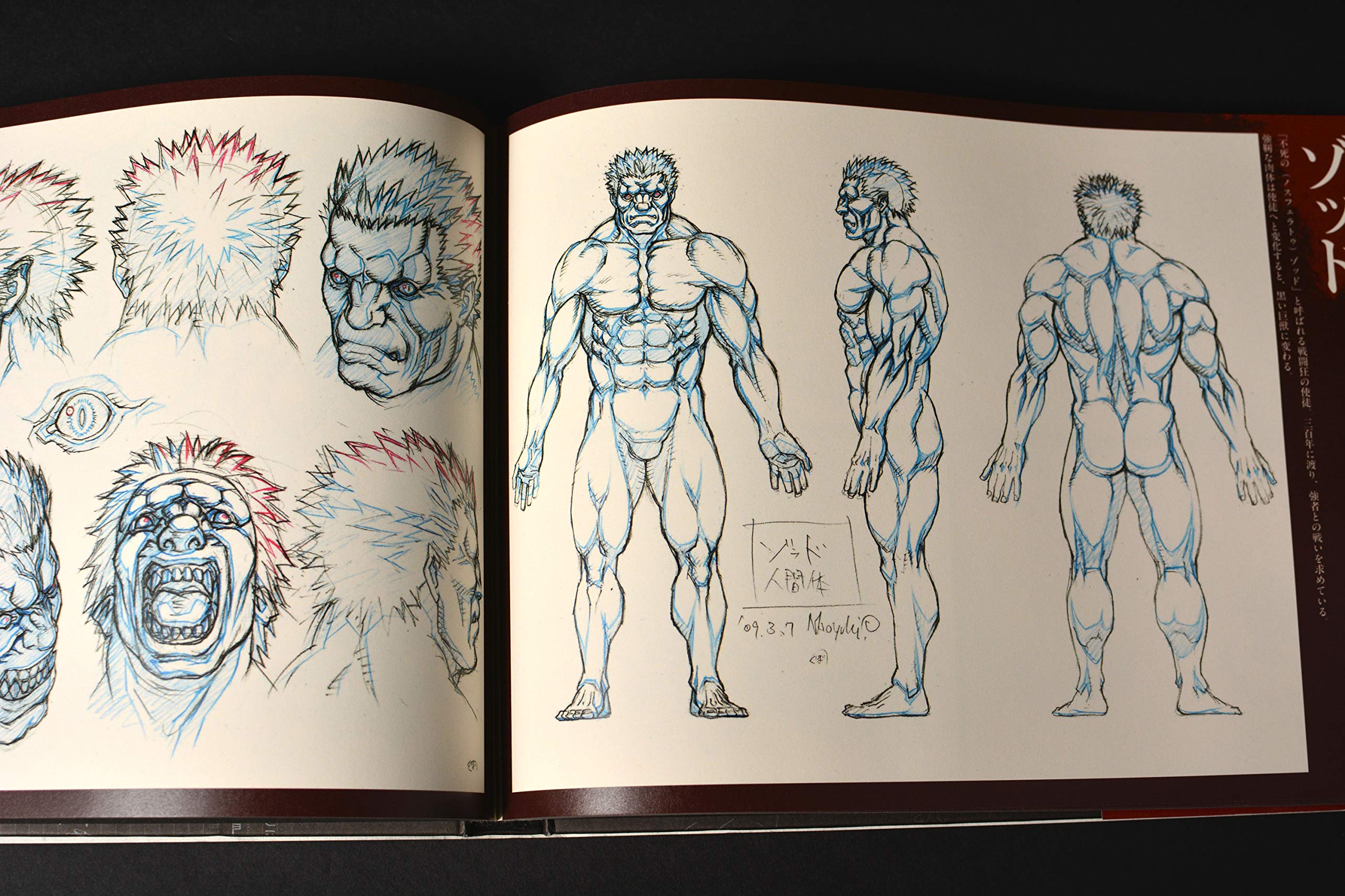 Anime MOvie BERSERK Illustration ART BOOK Character Part [Japanese Edition],Used