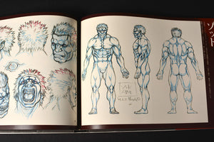 Anime MOvie BERSERK Illustration ART BOOK Character Part [Japanese Edition],Used