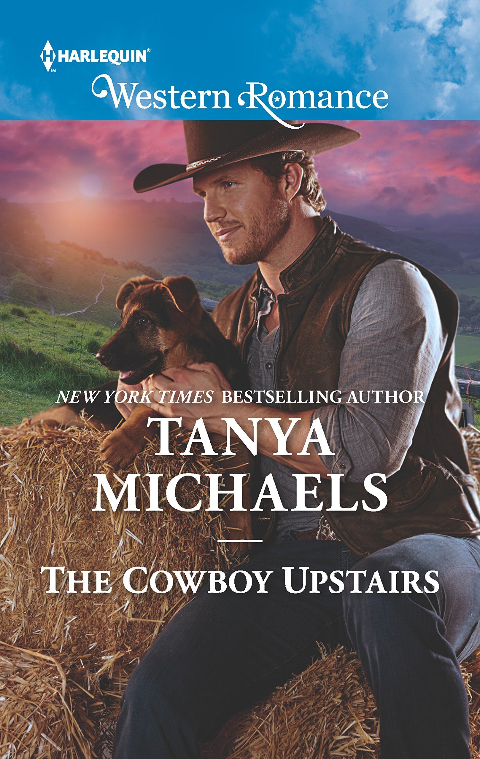 The Cowboy Upstairs (Cupid's Bow, Texas, 4),Used