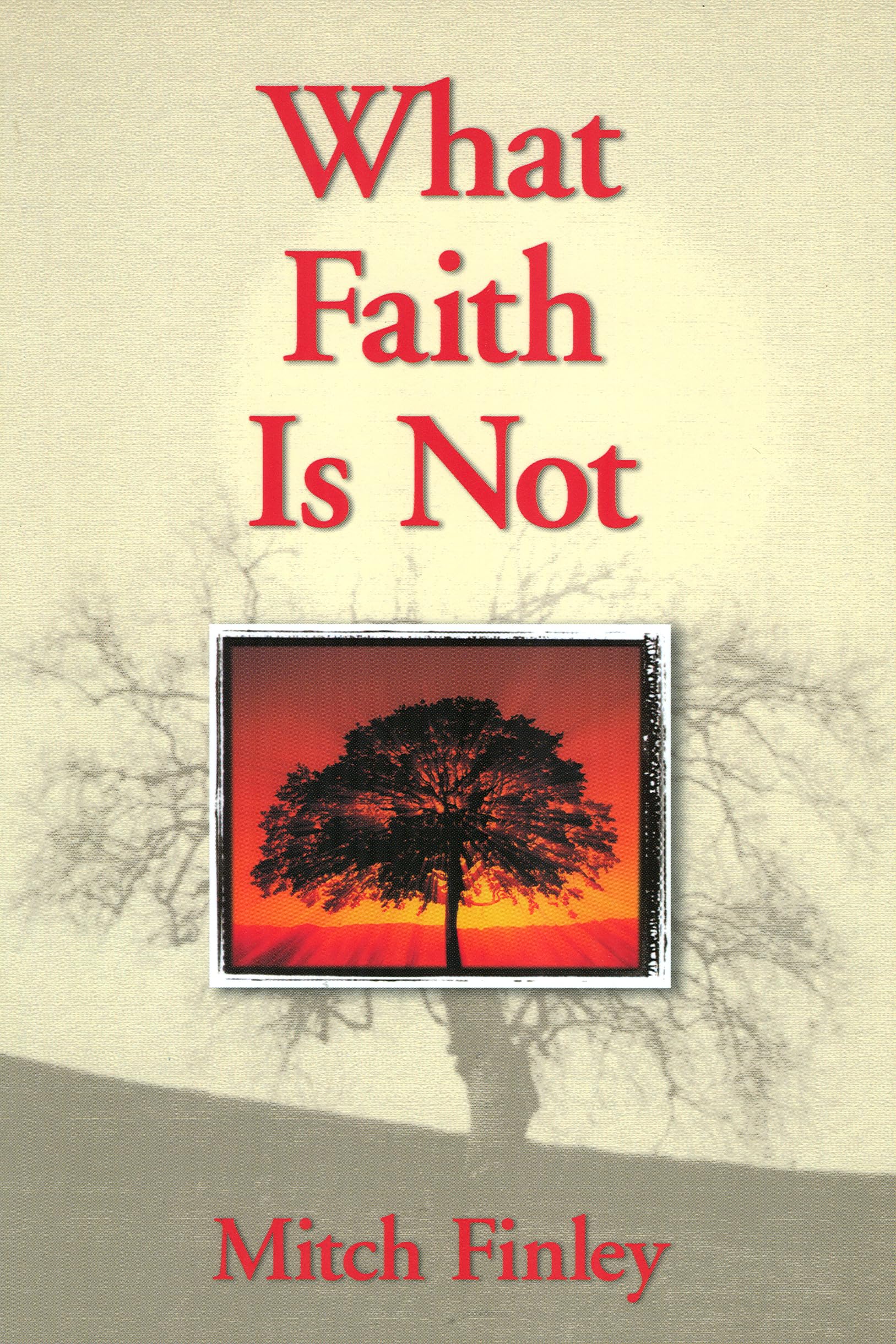 What Faith Is Not,Used