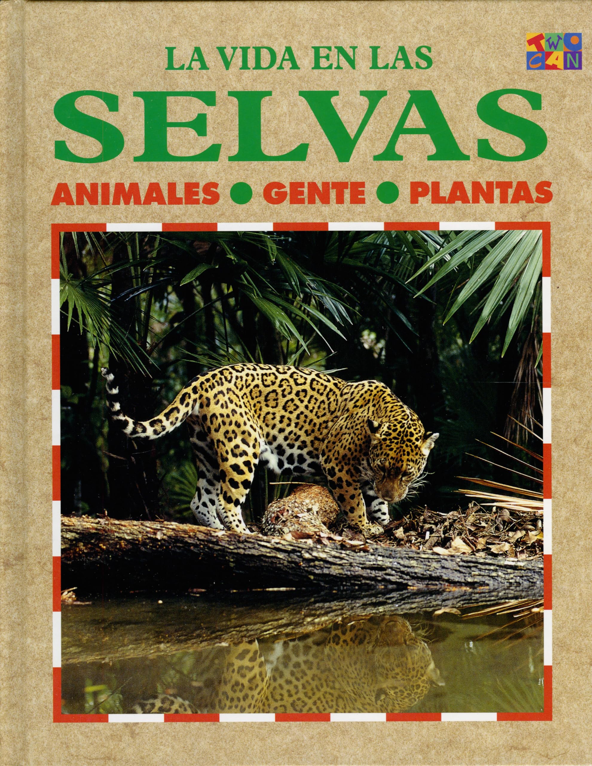 Las Selvas (La Vida En... (Rainforests)),Used