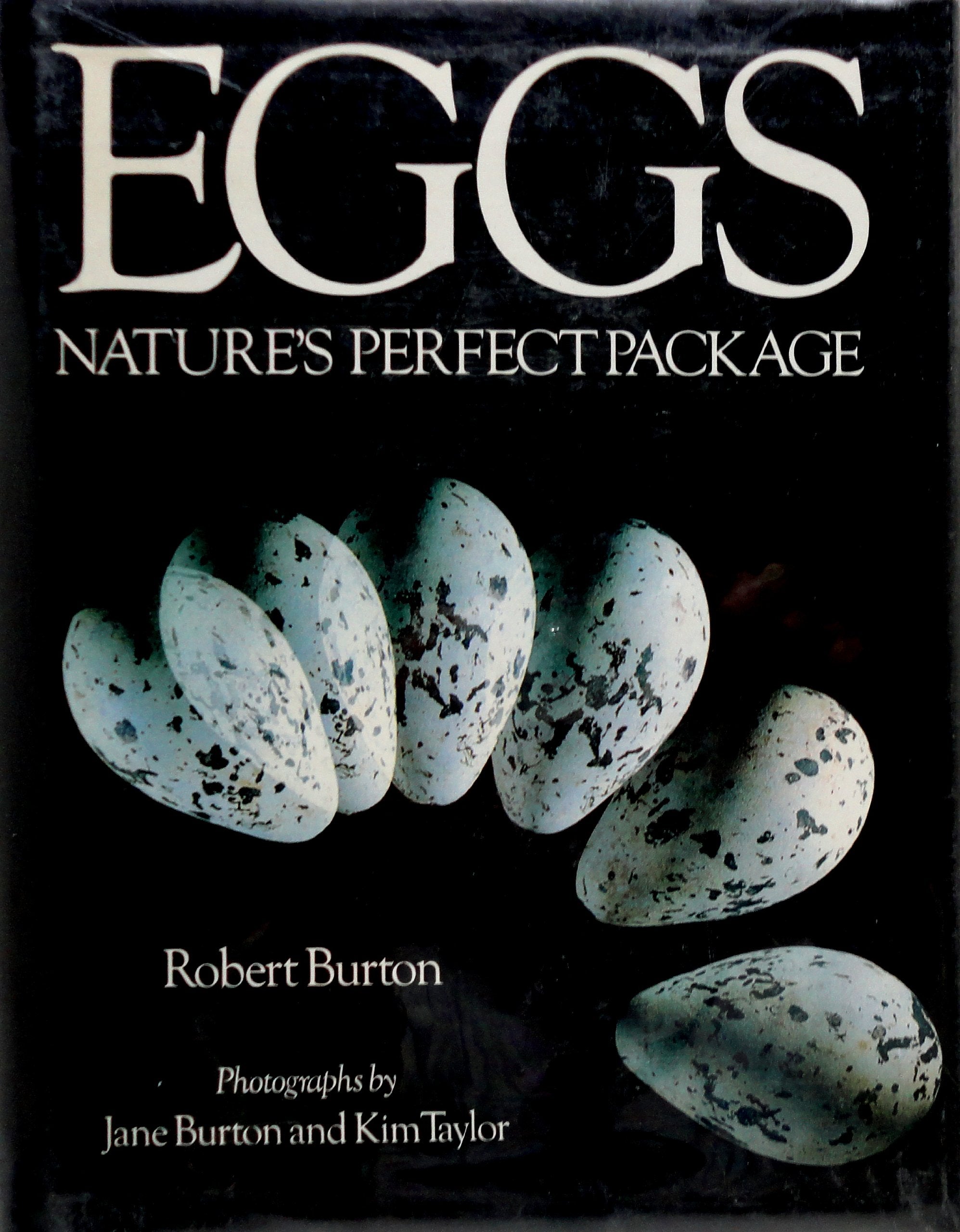 Eggs: Nature's Perfect Miracle of Packaging,Used
