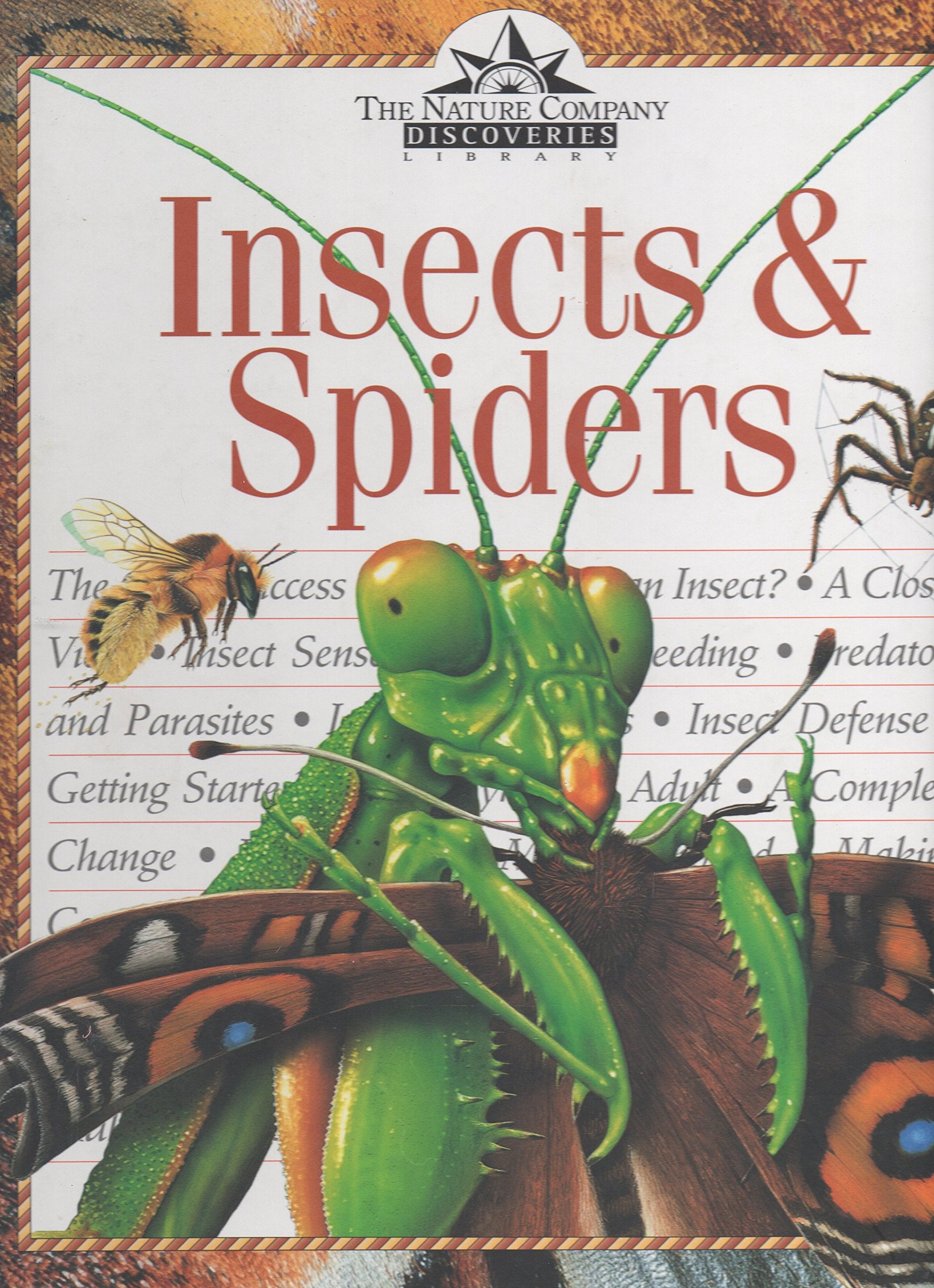 Insects & Spiders (Nature Company Discoveries Libraries),Used