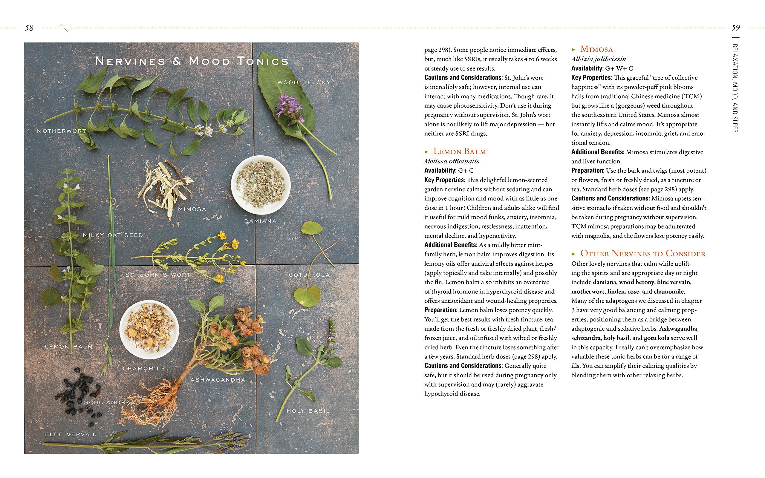 Body Into Balance: An Herbal Guide To Holistic Selfcare