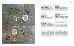 Body Into Balance: An Herbal Guide To Holistic Selfcare