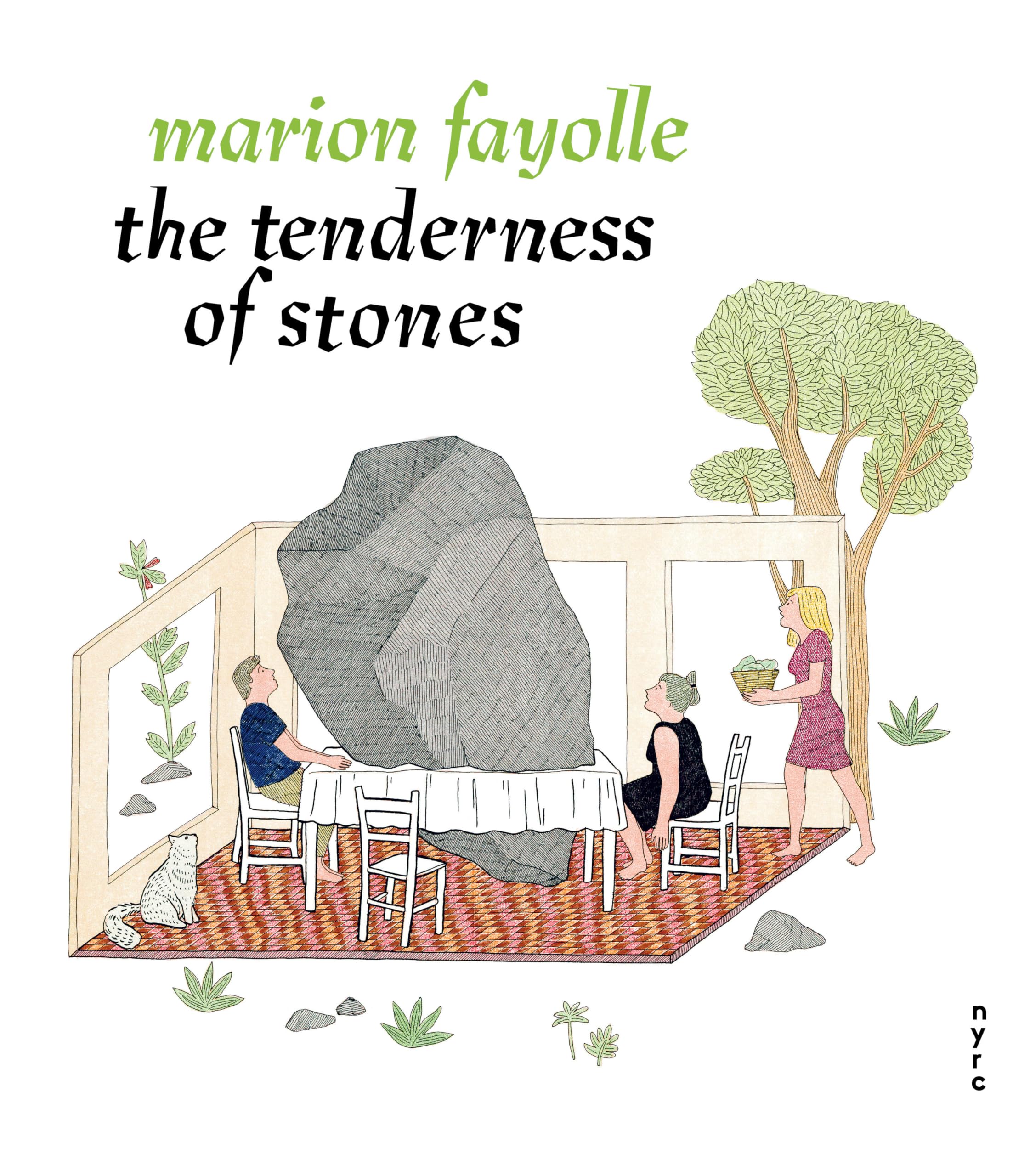 The Tenderness of Stones,Used