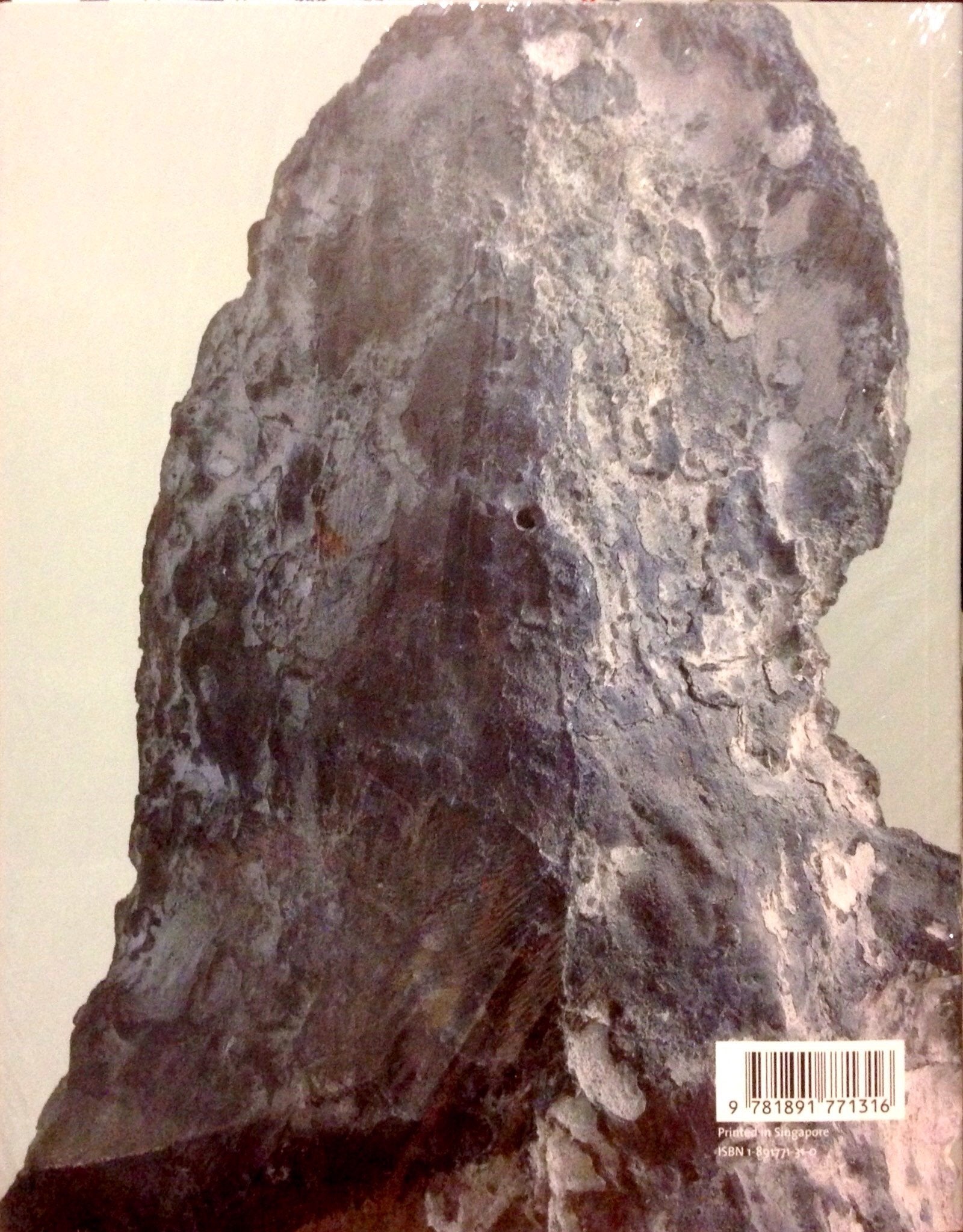 Medardo Rosso: Second Impressions,Used