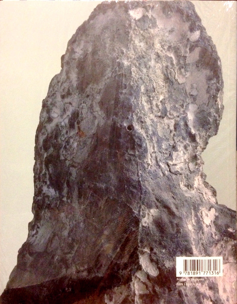 Medardo Rosso: Second Impressions,Used