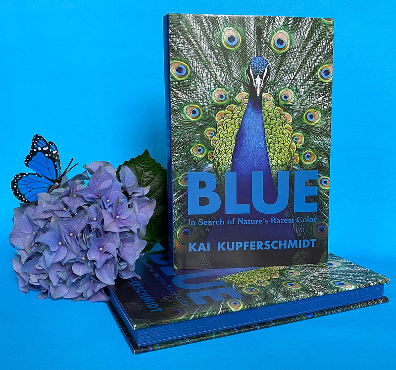 Blue: In Search of Nature's Rarest Color,New