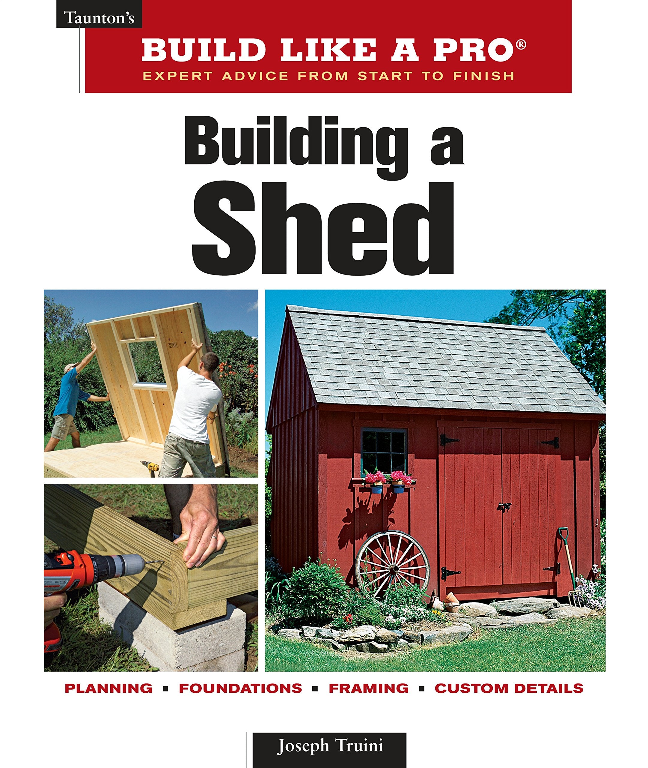 Building a Shed (Taunton's Build Like a Pro),Used