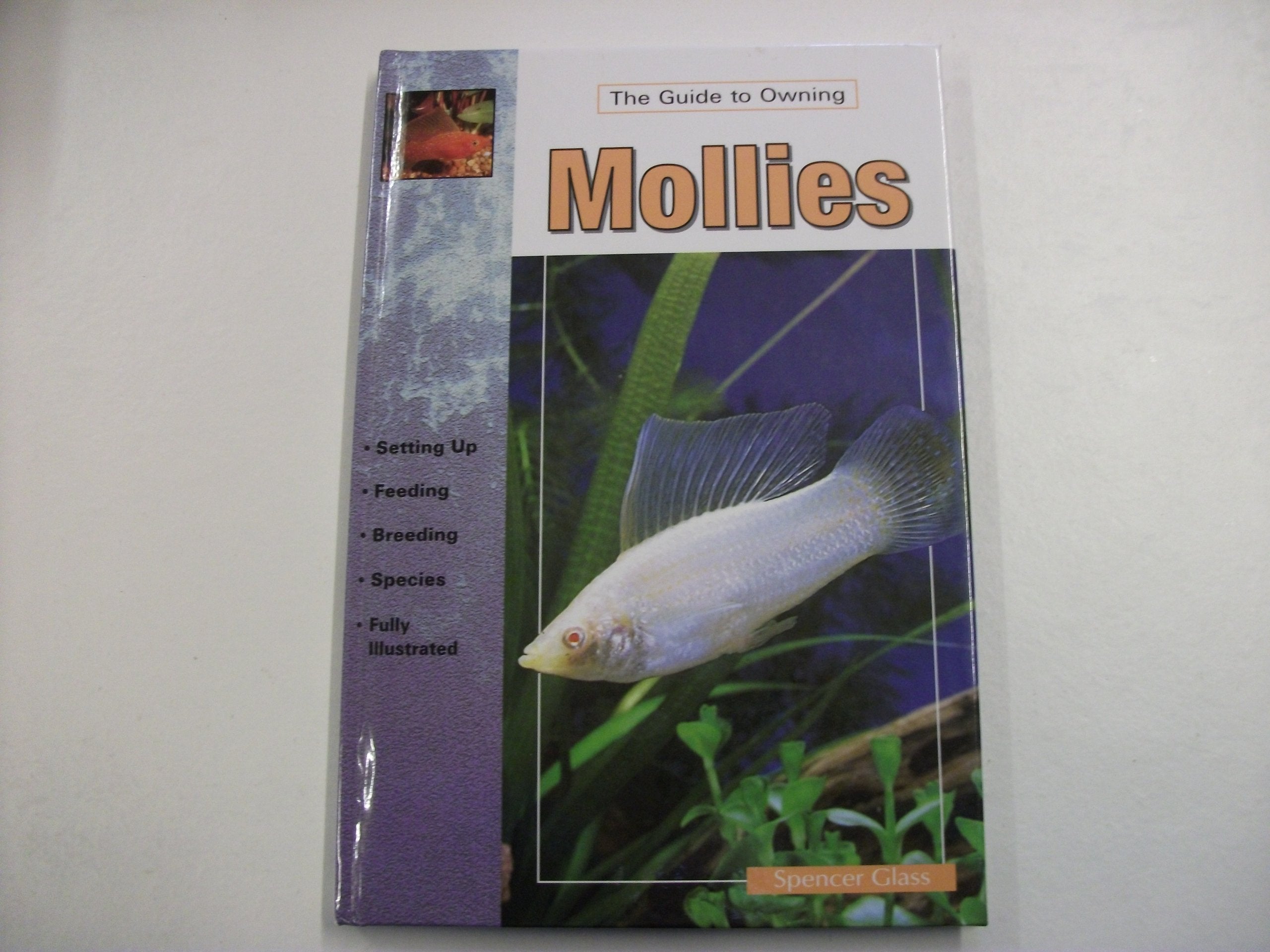 Mollies: Keeping & Breeding Them in Captivity,Used