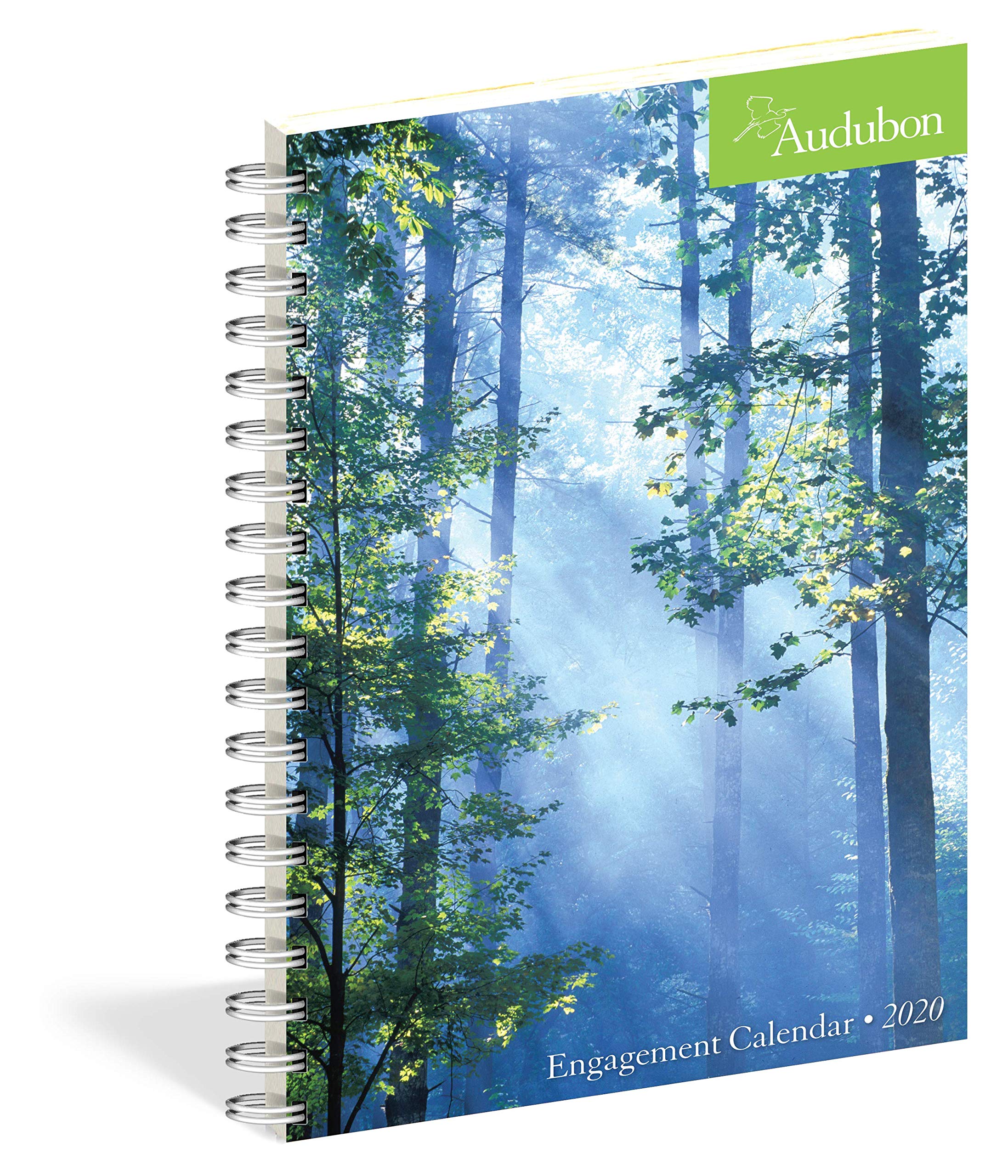 Audubon Engagement Calendar 2020,Used