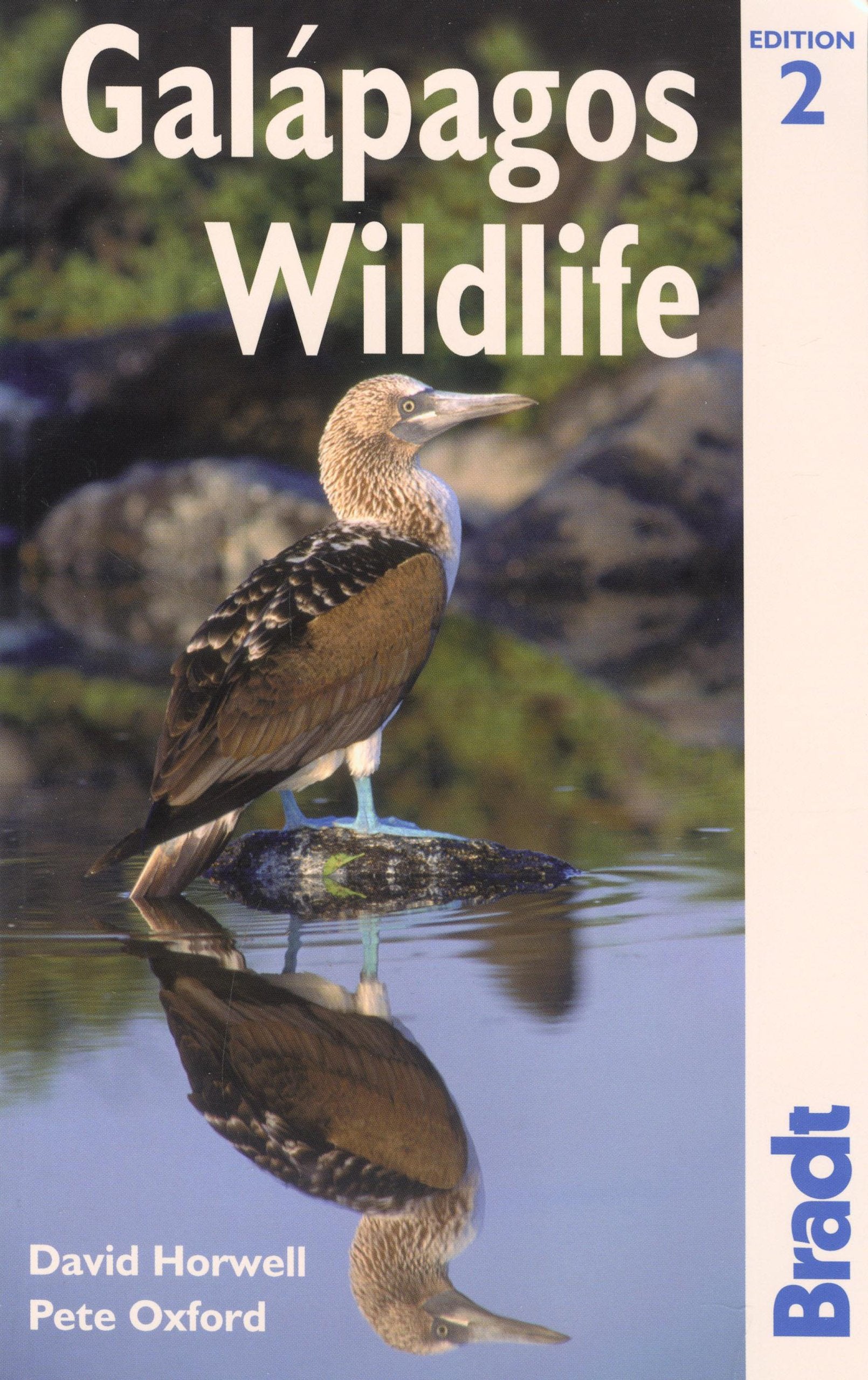 Galapagos Wildlife: A Visitor's Guide (Bradt Wildlife Guides),Used