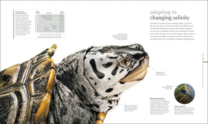 Oceanology: The Secrets Of The Sea Revealed (Dk Secret World Encyclopedias)-used