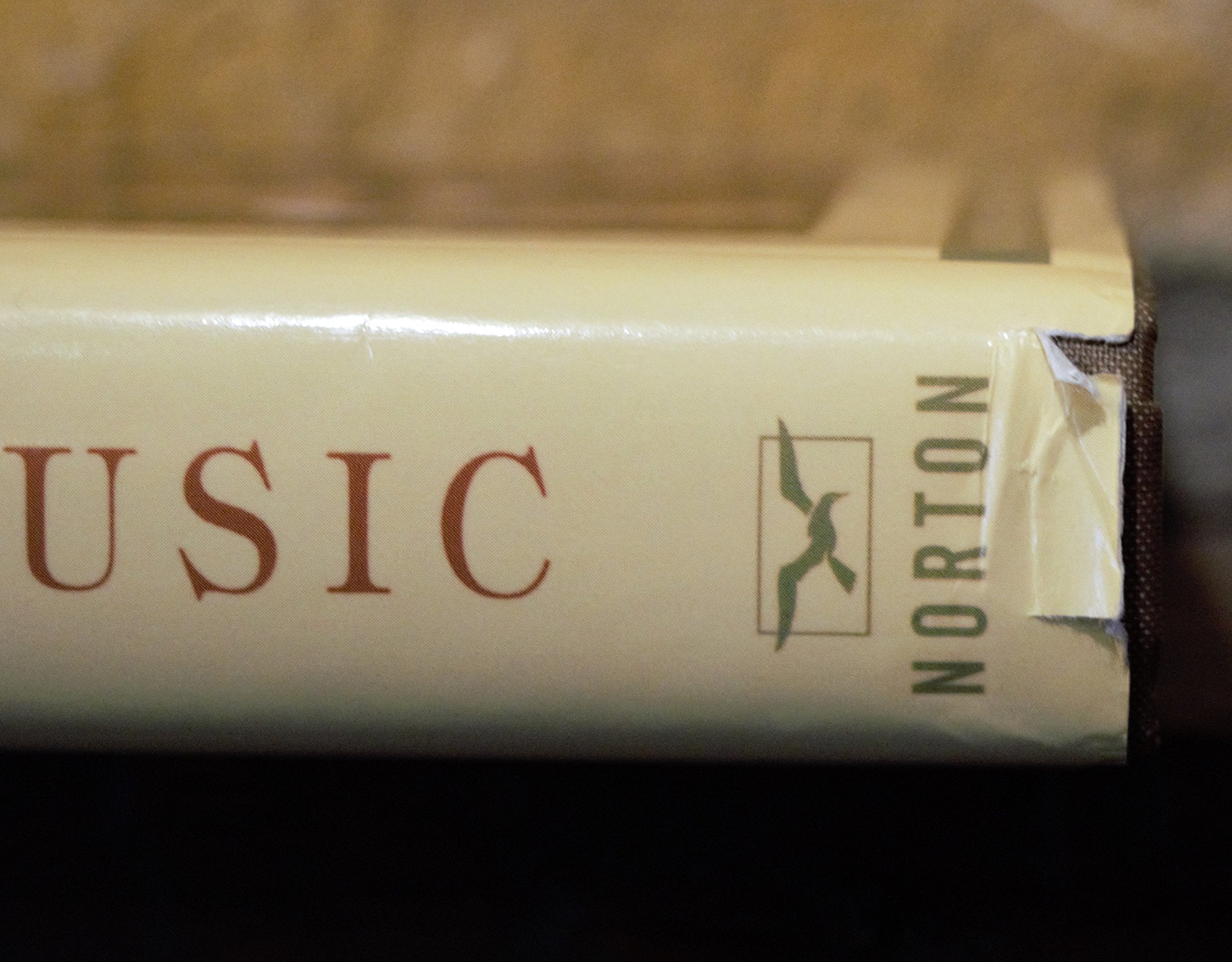 Renaissance Music: Music in Western Europe, 14001600 (The Norton Introduction to Music History),New