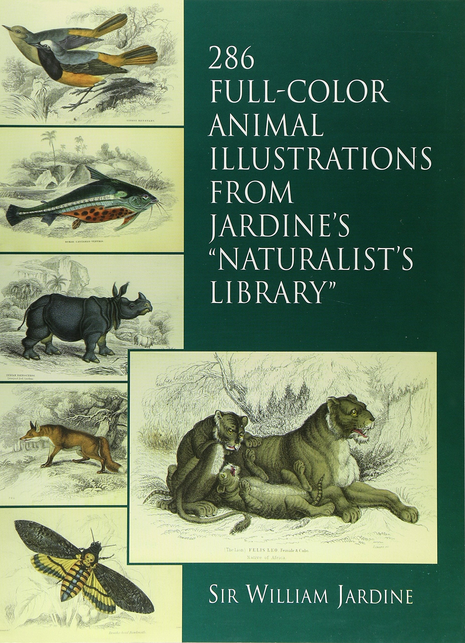 286 Fullcolor Animal Illustrations: From Jardines 'Naturalists Library' (Dover Pictorial Archive),Used