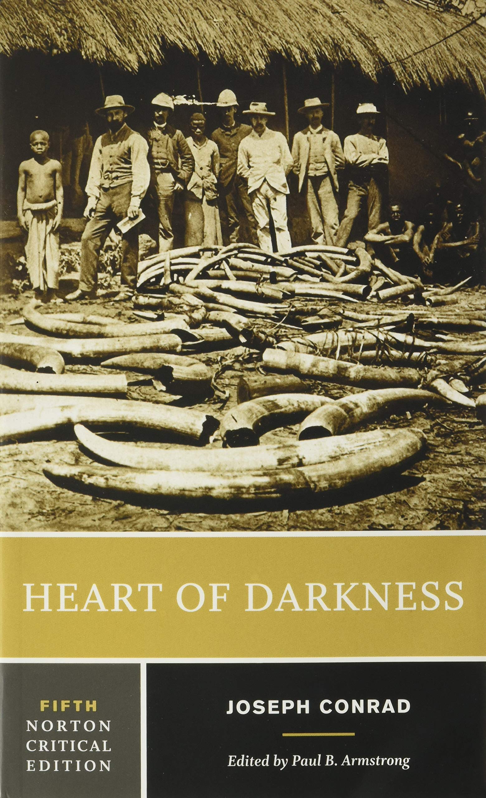 Heart of Darkness: A Norton Critical Edition (Norton Critical Editions),Used