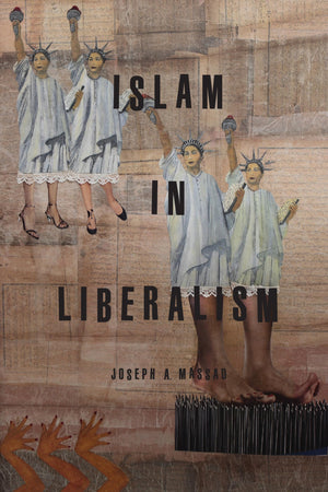 Islam In Liberalism,Used
