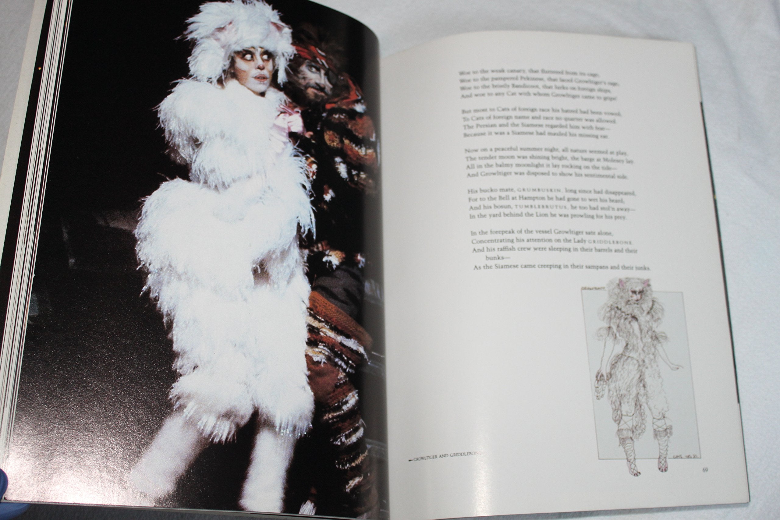 Cats: The Book of the Musical,Used