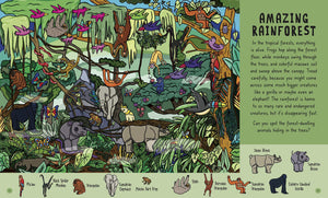 Busy Book of Search and Find: Amazing Animals  An Activity Book for Kids,Used
