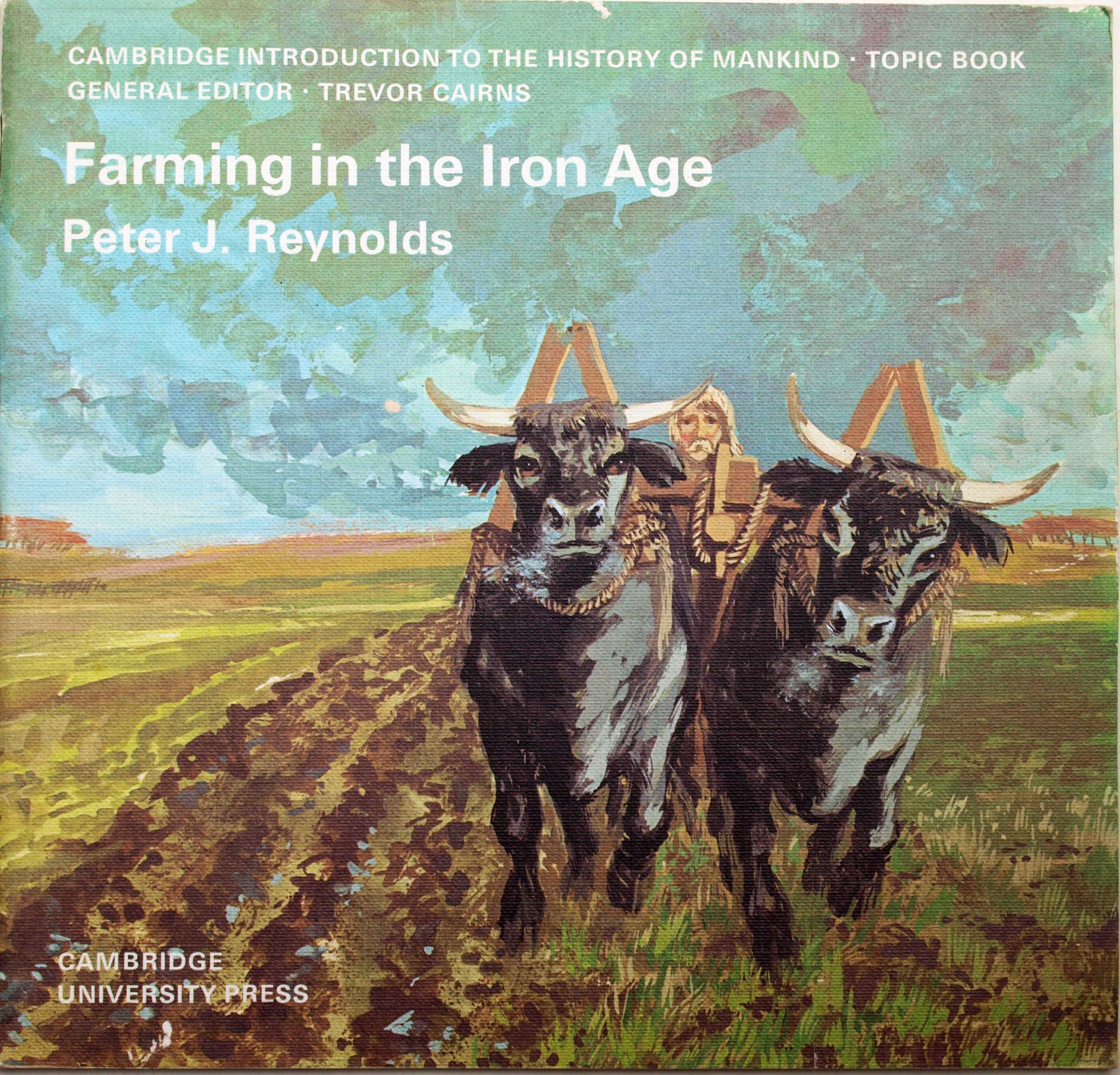 Farming in the Iron Age (Cambridge Introduction to World History),Used