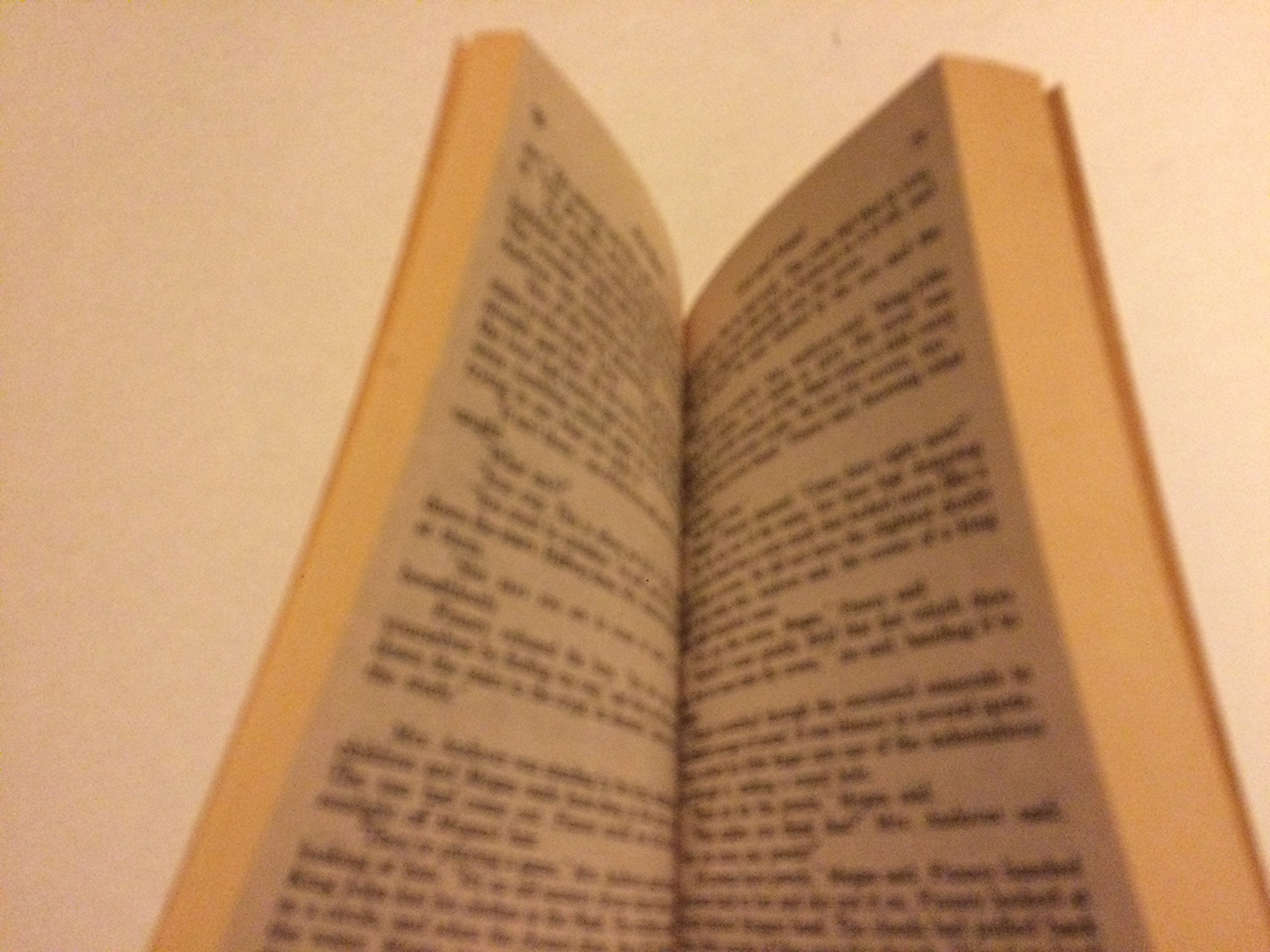 Fire Watch: A Novel,Used