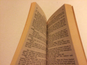 Fire Watch: A Novel,Used