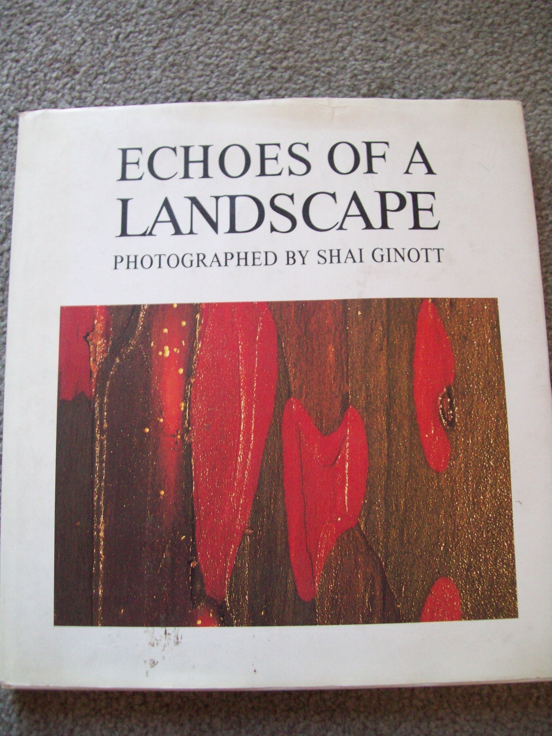 Echoes of a Landscape,Used