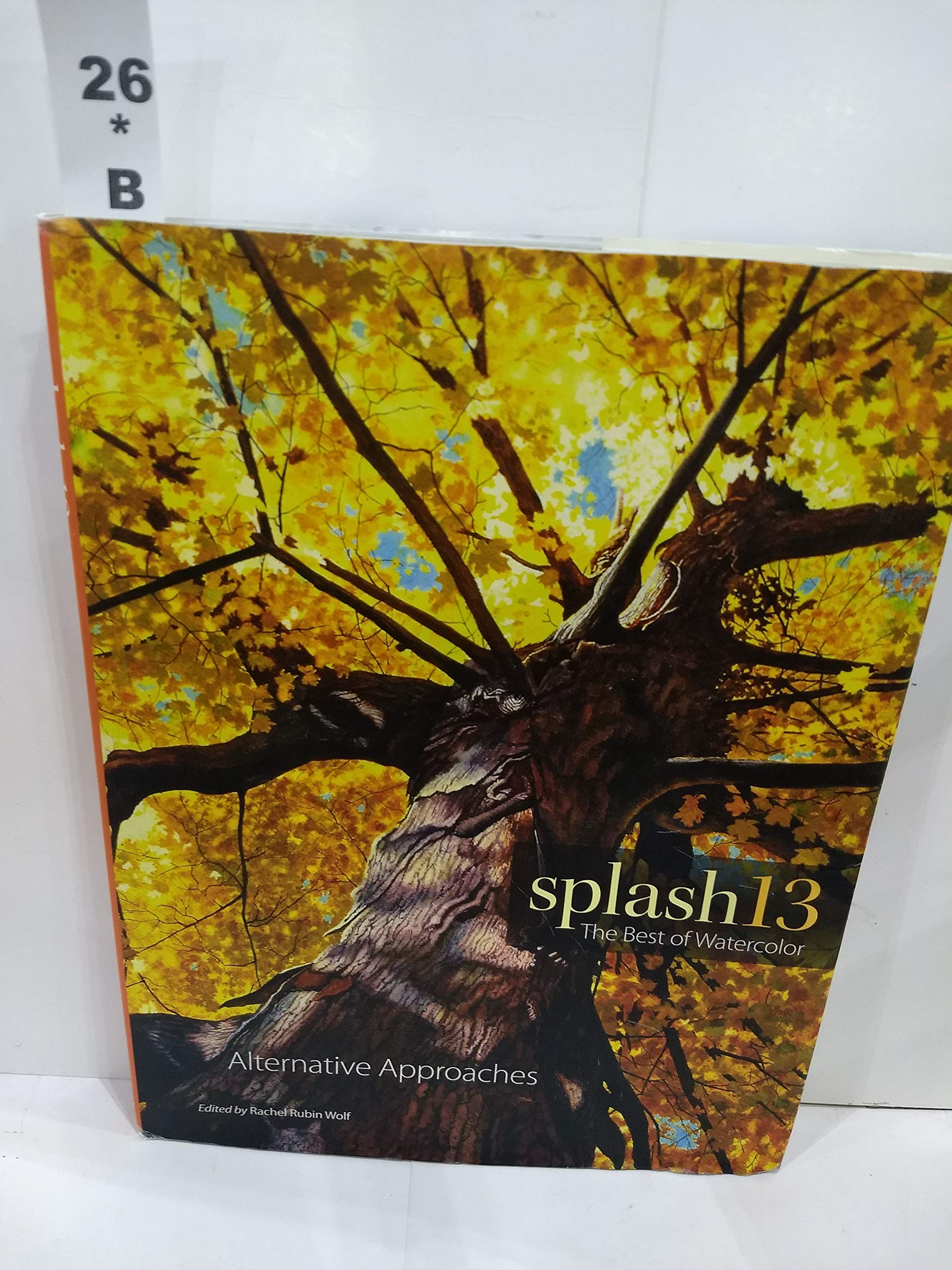 Splash 13: The Best of Watercolor: Alternative Approaches,Used