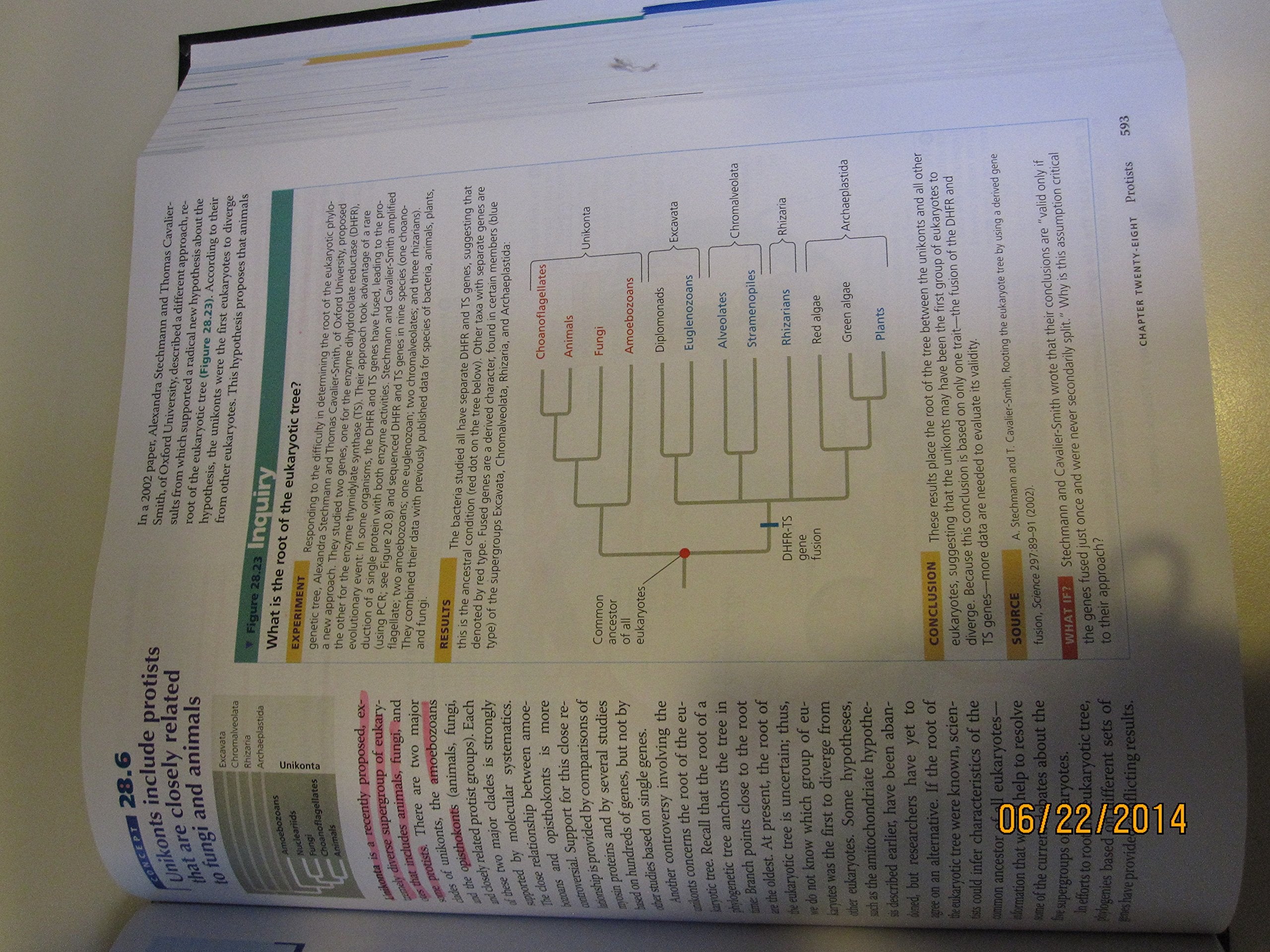 Biology: NASTA Edition,Used