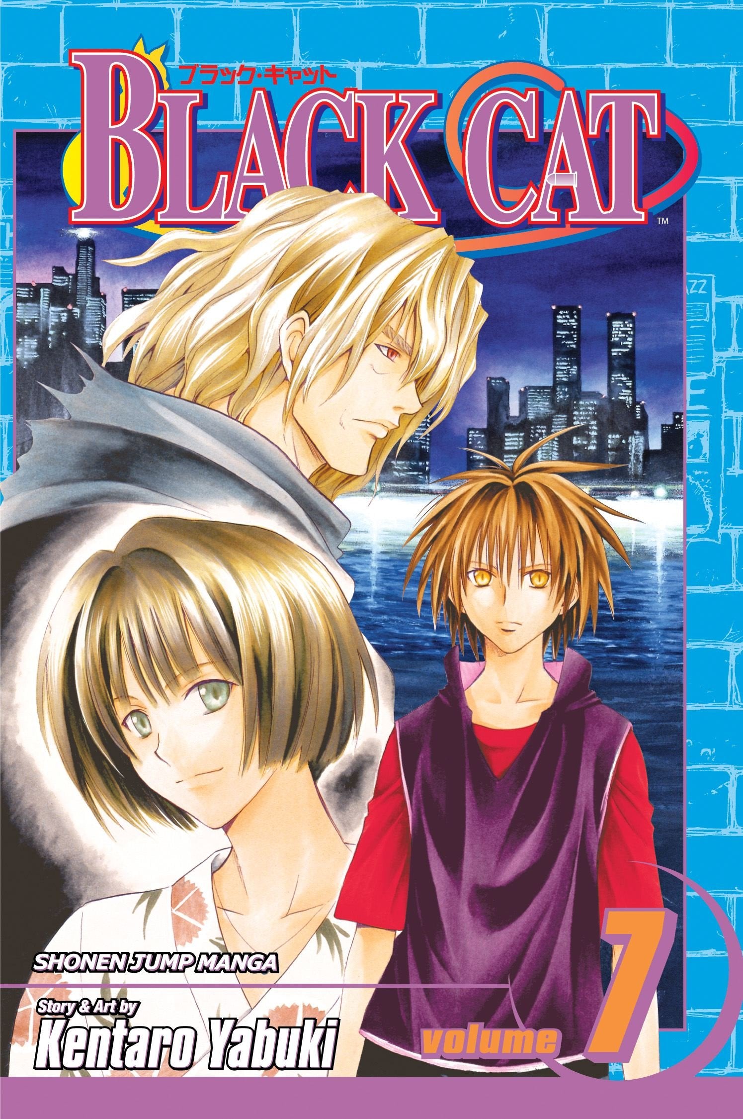 Black Cat, Vol. 7,Used