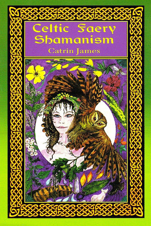 Celtic Faery Shamanism,New
