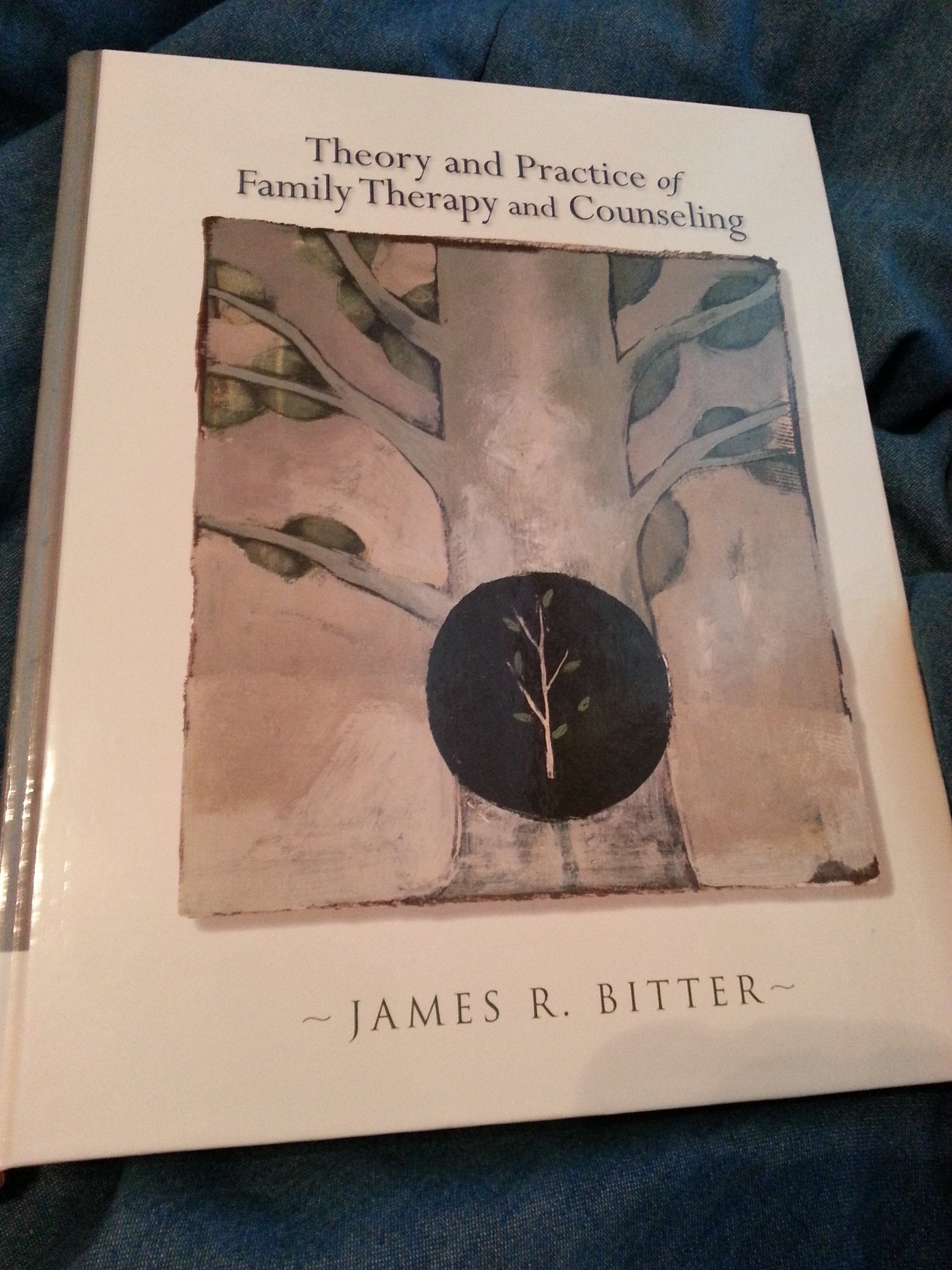 Theory and Practice of Family Therapy and Counseling (SAB 230 Family Therapy),Used