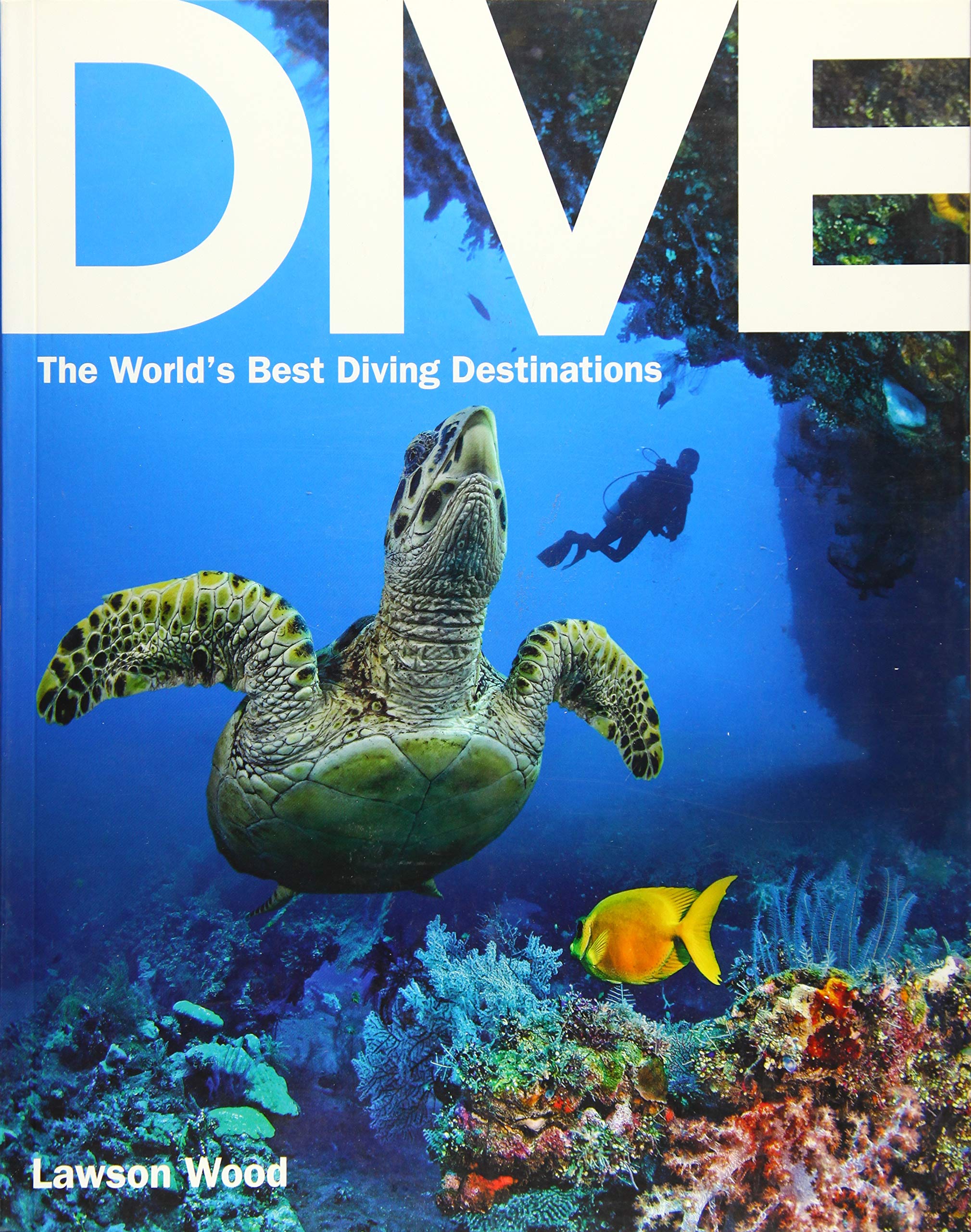 Dive: The World'S Best Dive Destinations