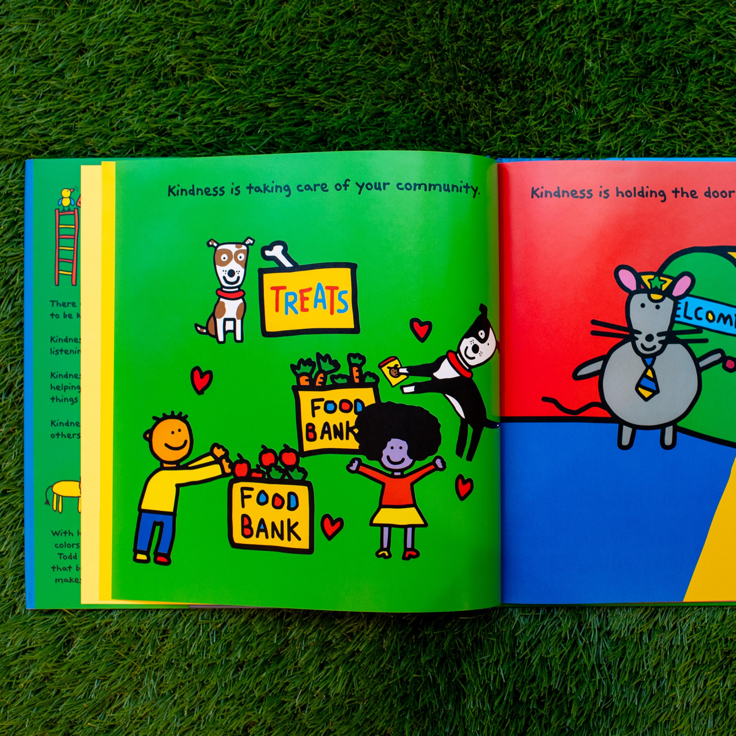 The Kindness Book,Used