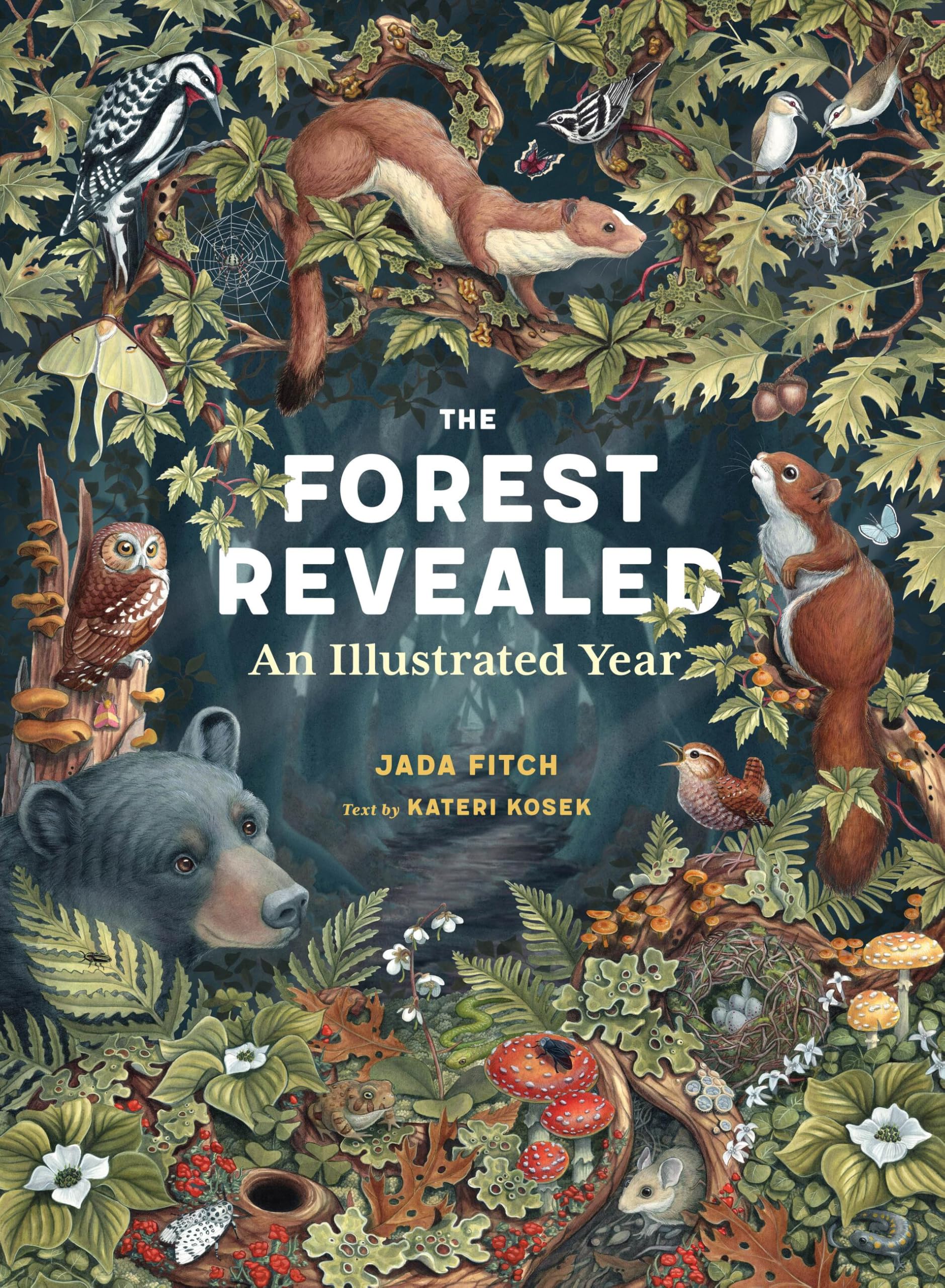 Forest Revealed