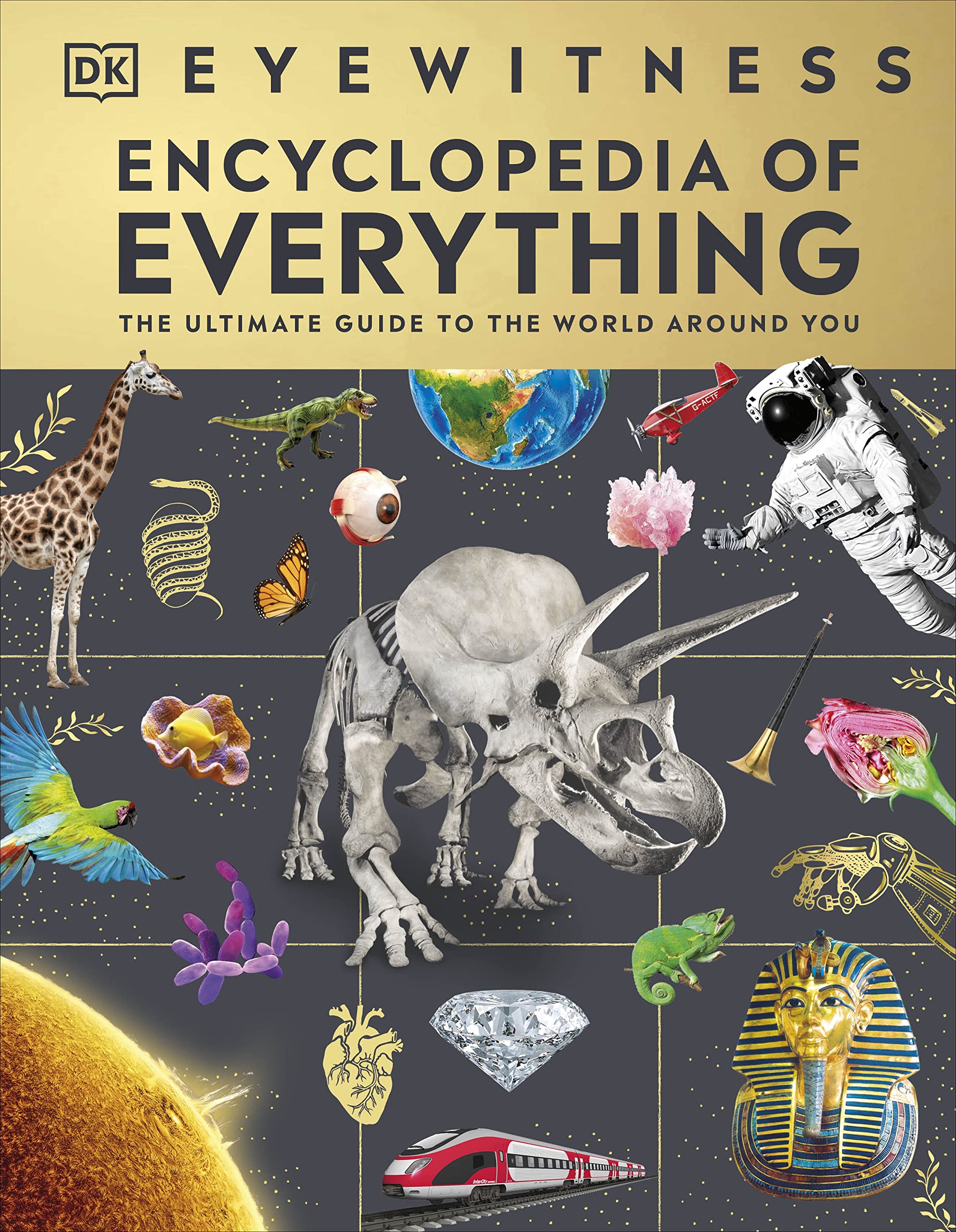 Eyewitness Encyclopedia Of Everything: The Ultimate Guide To The World Around You (Dk Eyewitness),Used