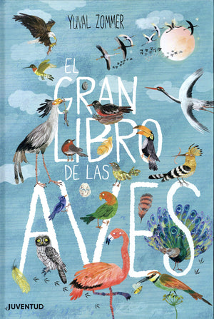 El gran libro de las aves (Spanish Edition),Used