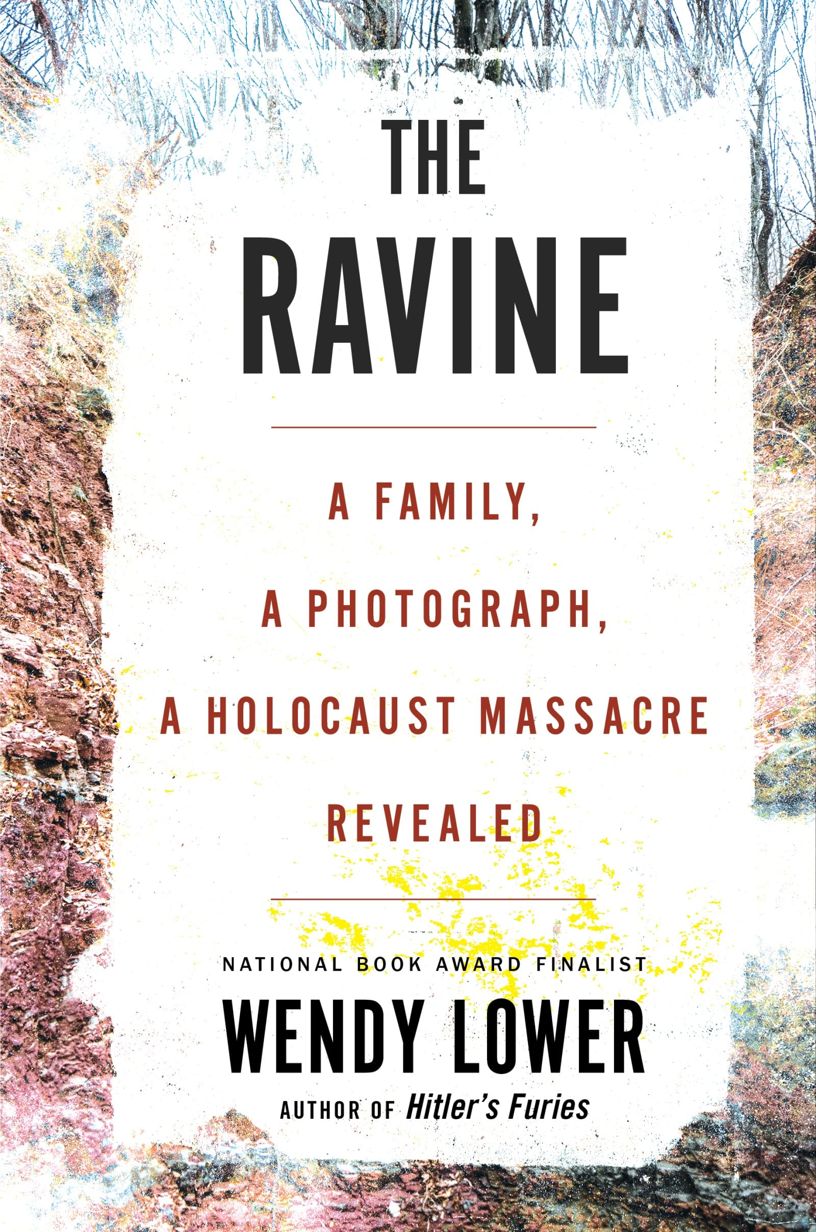 The Ravine: A Family, A Photograph, A Holocaust Massacre Revealed,Used