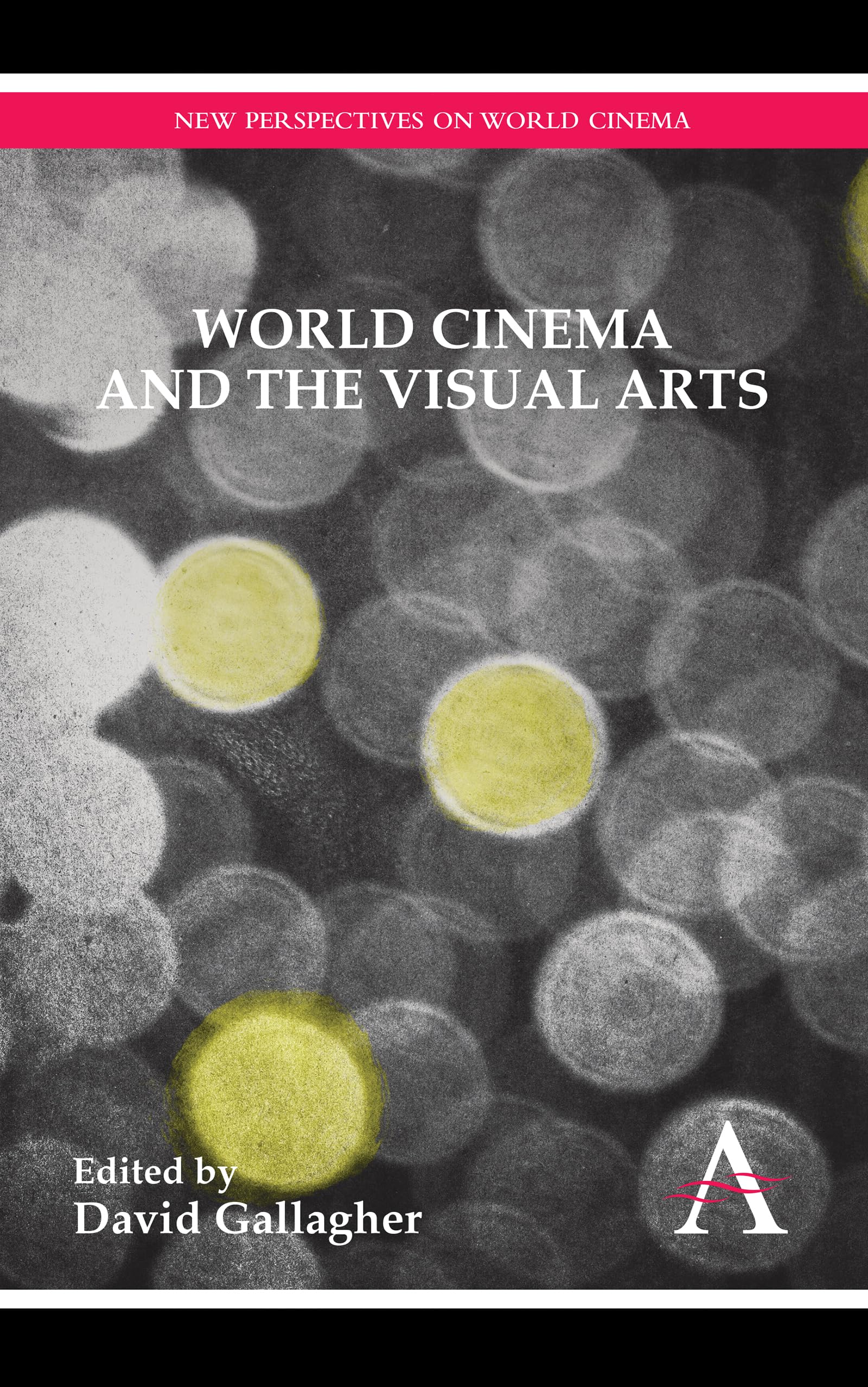 World Cinema and the Visual Arts (Anthem Global Media and Communication Studies,New Perspectives on World Cinema,Anthem Studies ,Used