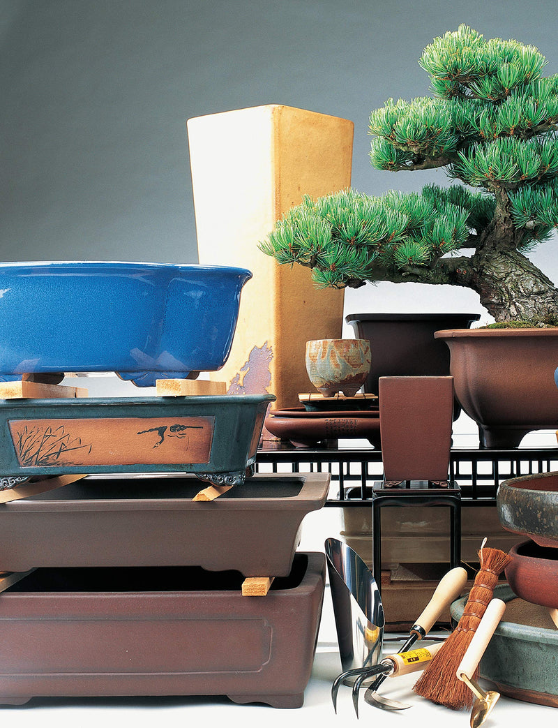 The Bonsai Handbook (IMM Lifestyle Books) The Science and Art of Bonsai from Anatomy to Aesthetics, and How to Grow Your Own, in,Used
