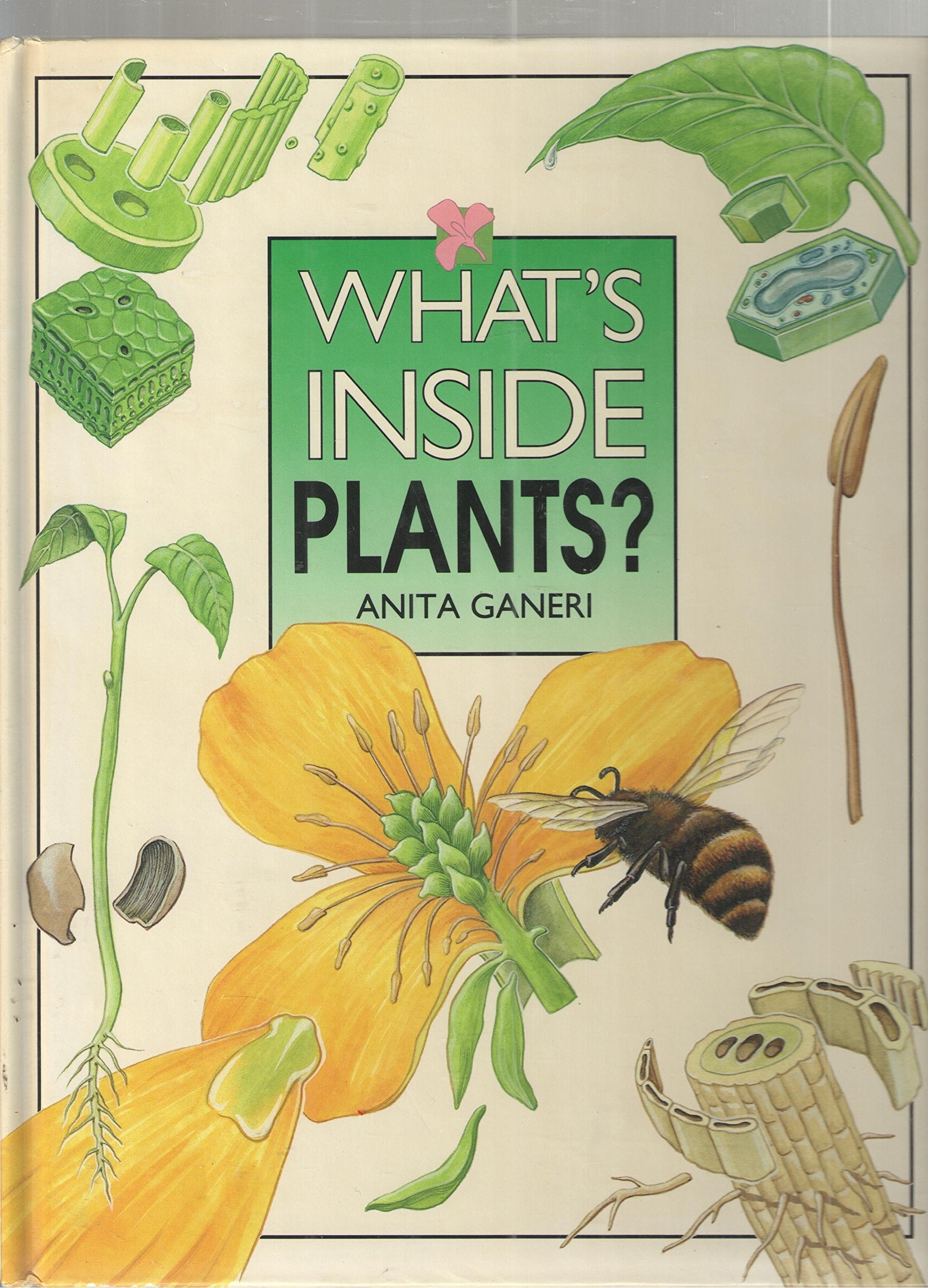 What's Inside Plants?,Used