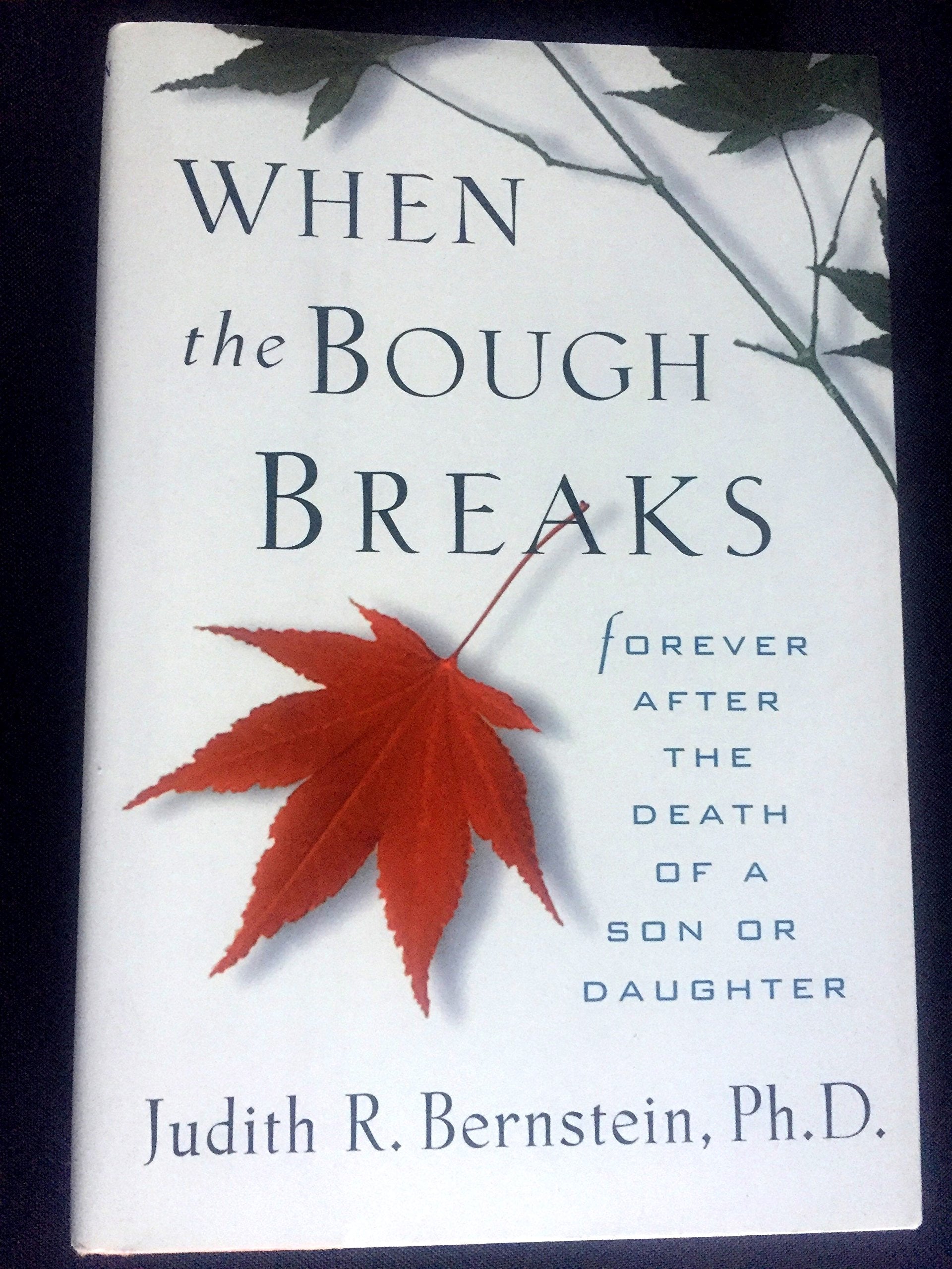 When the Bough Breaks: Forever After the Death of a Son or Daughter,Used