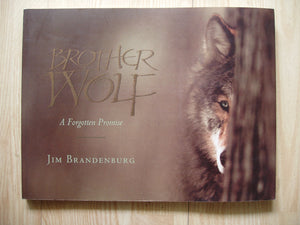 Brother Wolf,Used