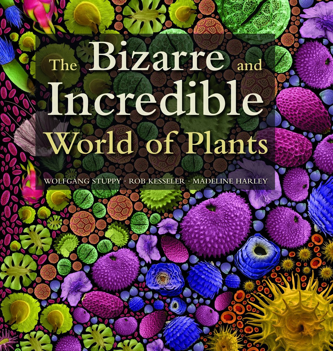 The Bizarre And Incredible World Of Plants